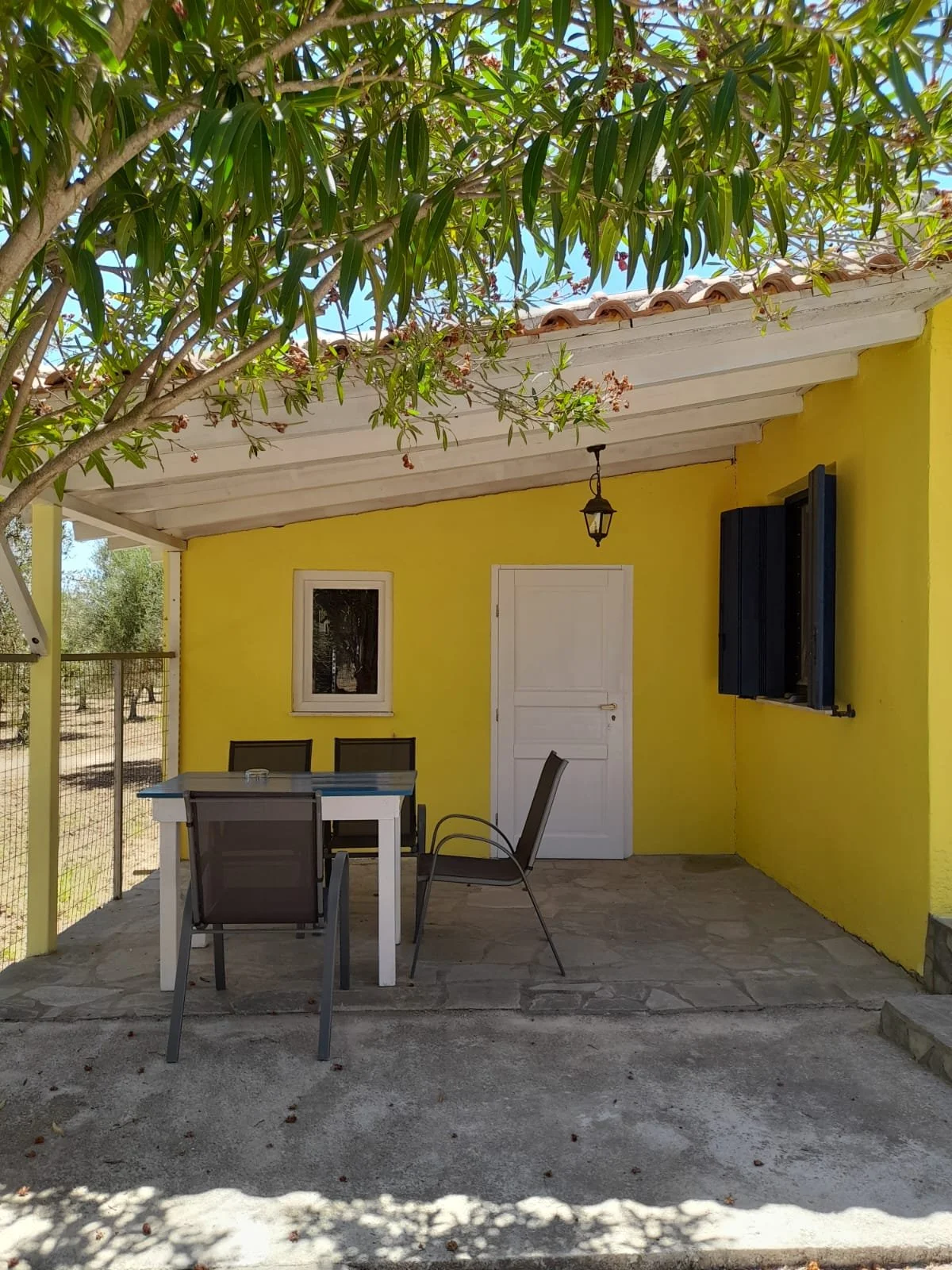 new stafida pics 3.jpeg