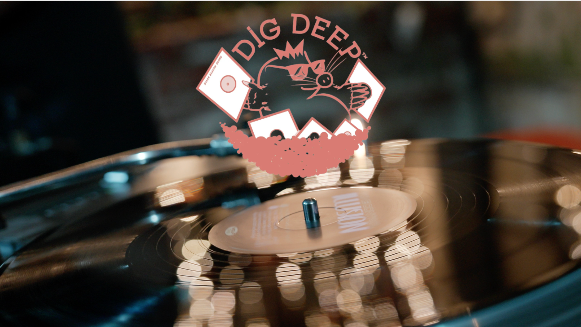 Dig Deep | Angela Kendall | Sheffield