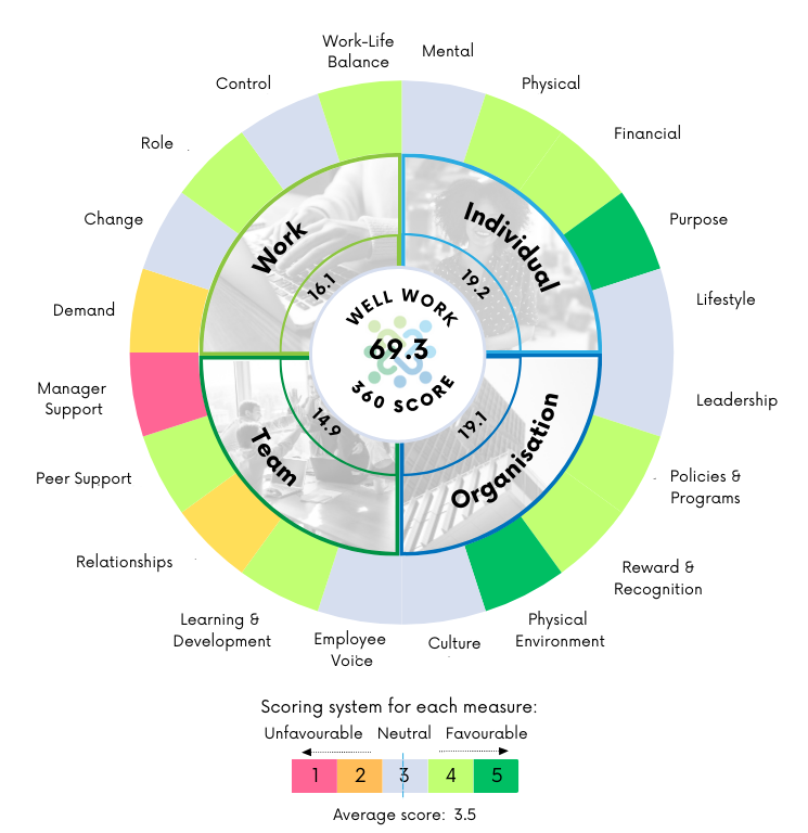 Well Work 360 Indicator Tool - Workplace Wellbeing