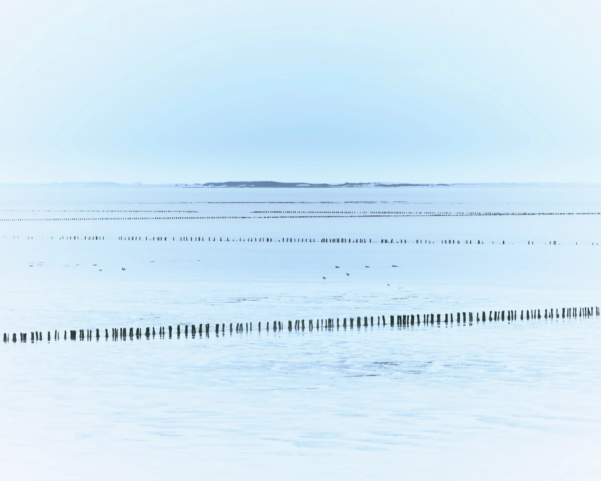 The Waddenzee Unesco World Heritage