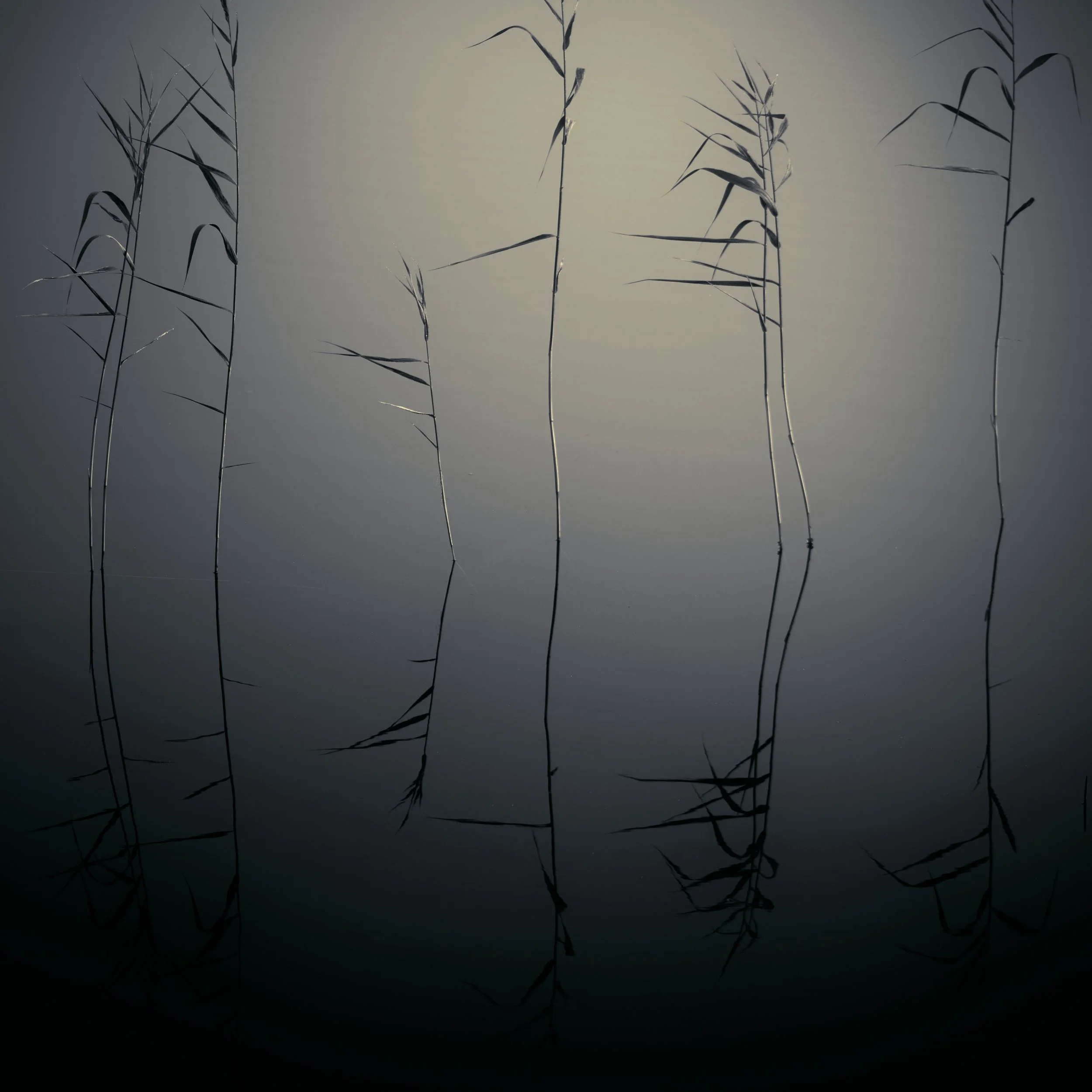 20180909064947_Finland.jpg