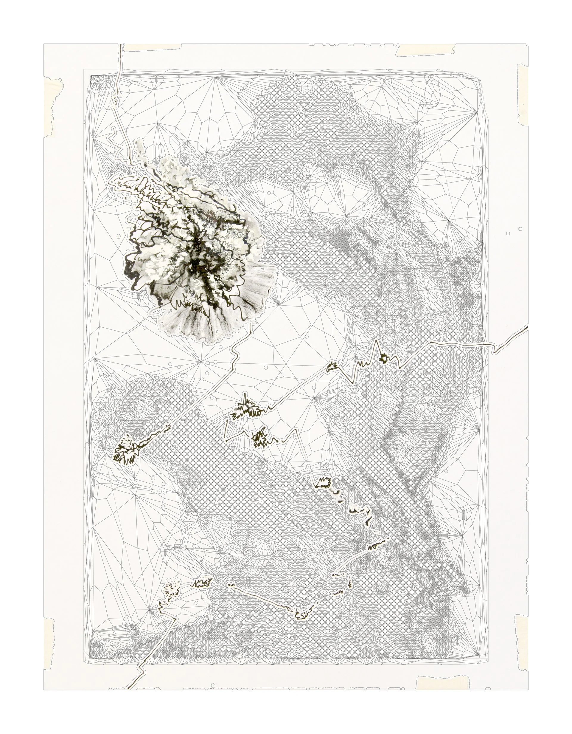  _ / Net Effect  / 2020