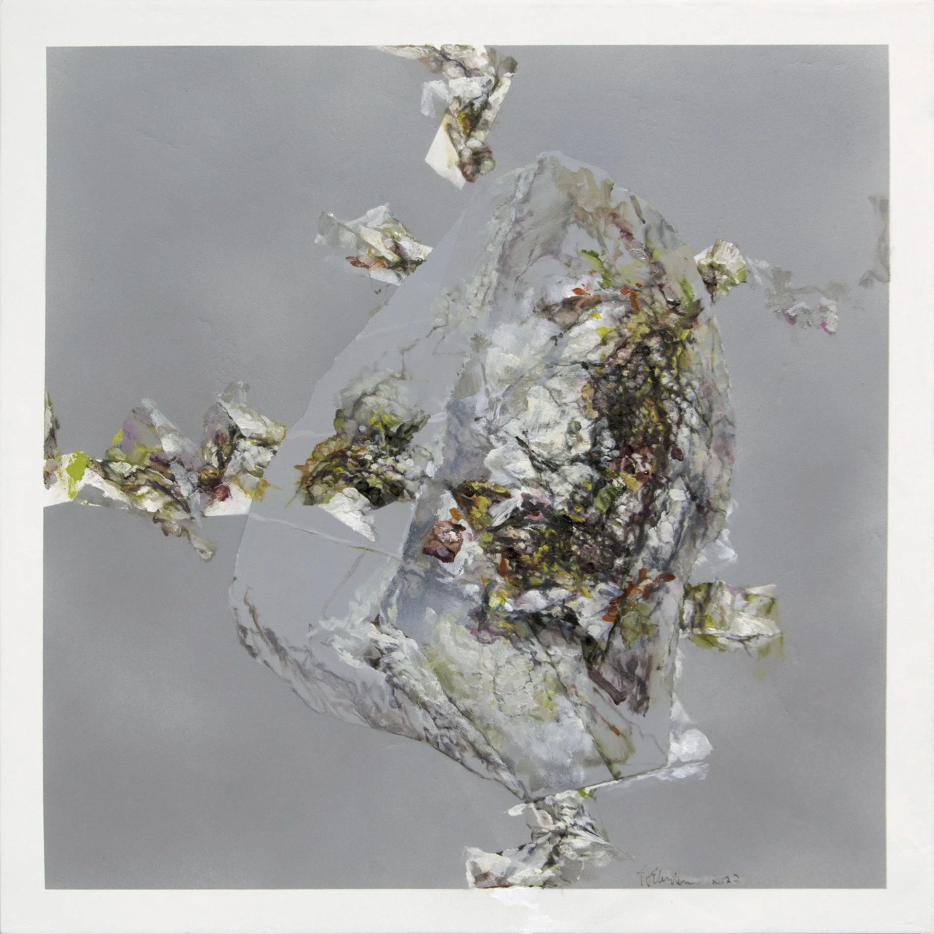  _ / Lithophyte  / series / 2022