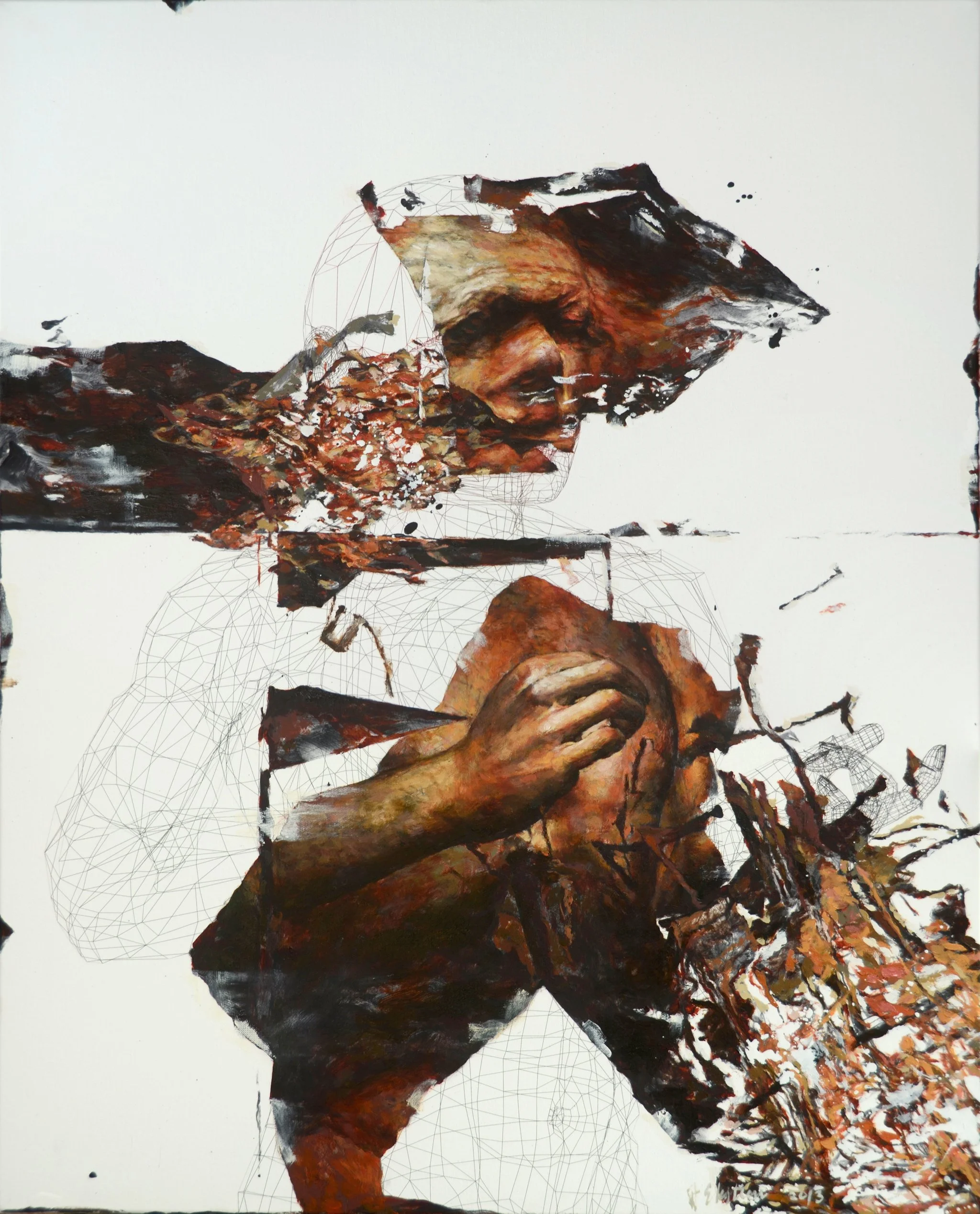  _ / Human Disguise  / series / 2013
