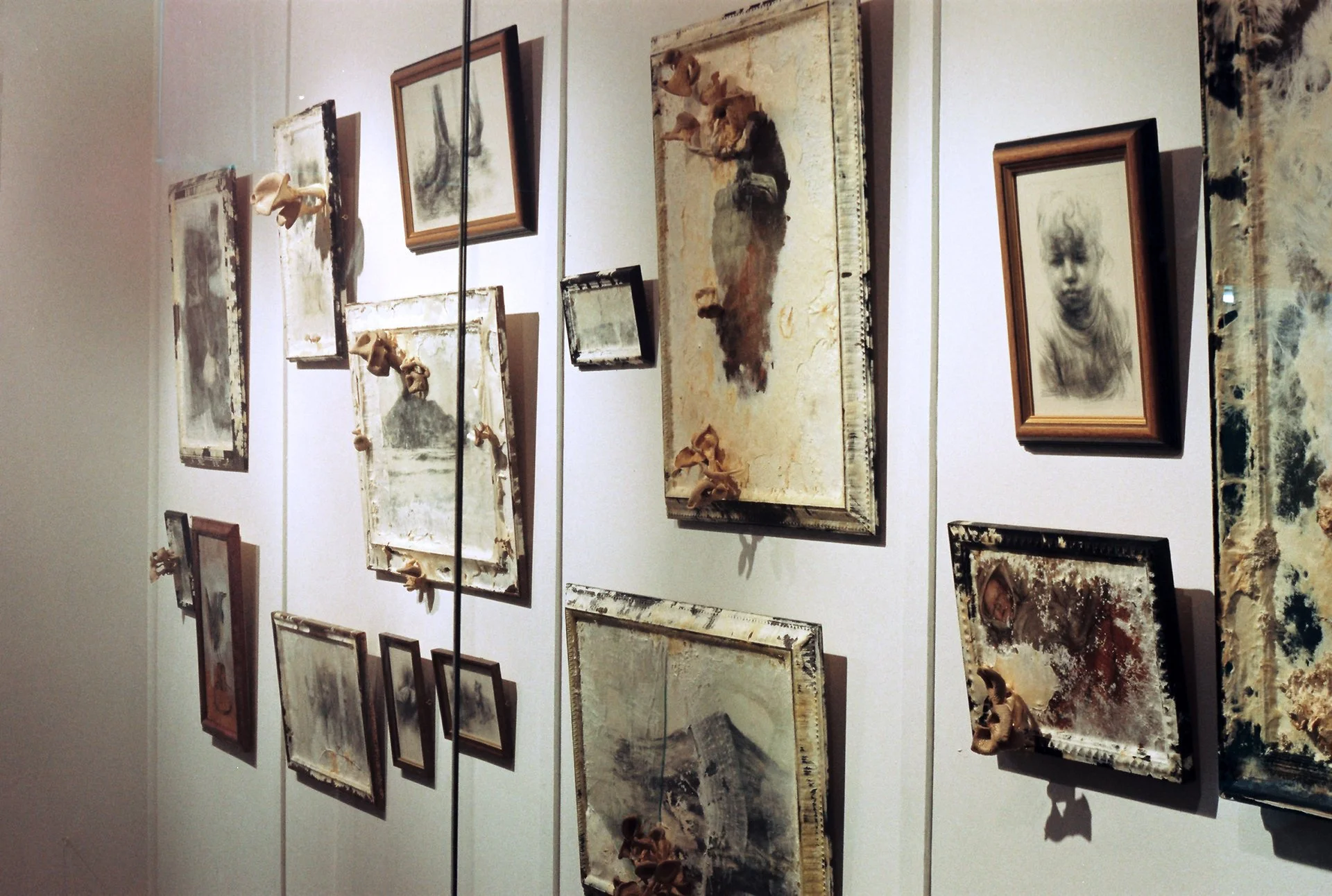  _ / Hanging Garden  / installation / 2004