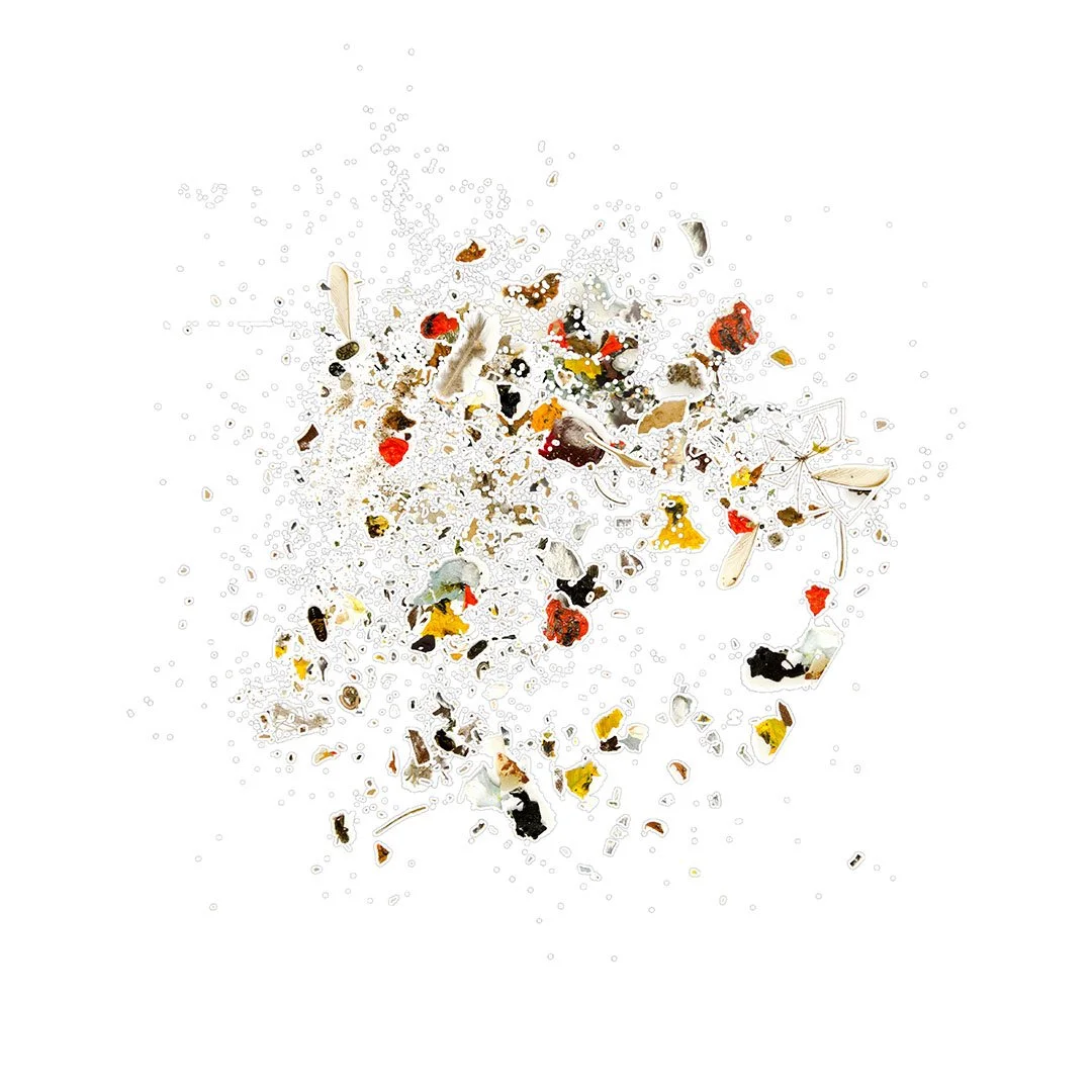  _ / Studio Ecology  / series / 2021