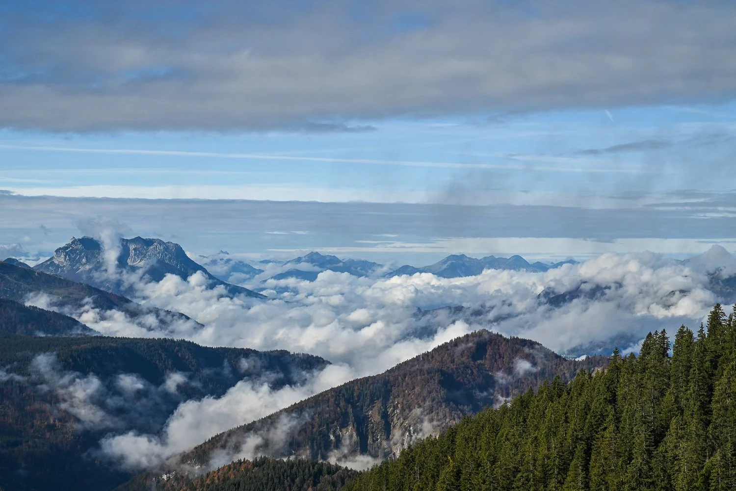 Sommer auf der Winklmoos-Alm