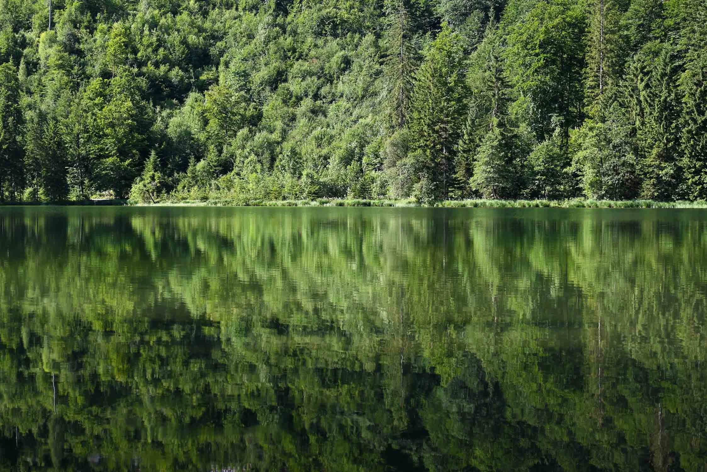 Bergsee Chiemgauer Alpen Frillensee