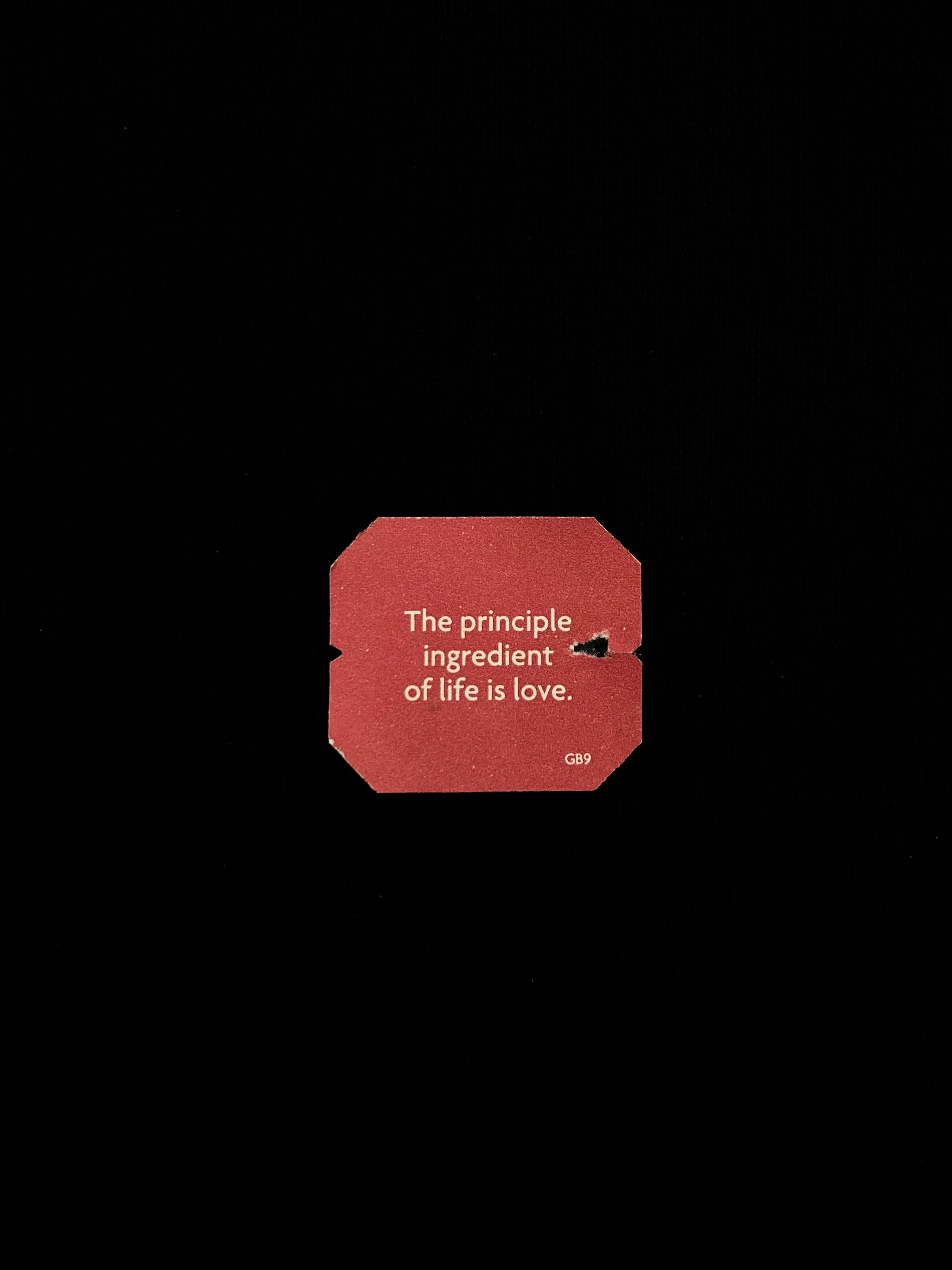 IMG_5286 2.JPG.jpg