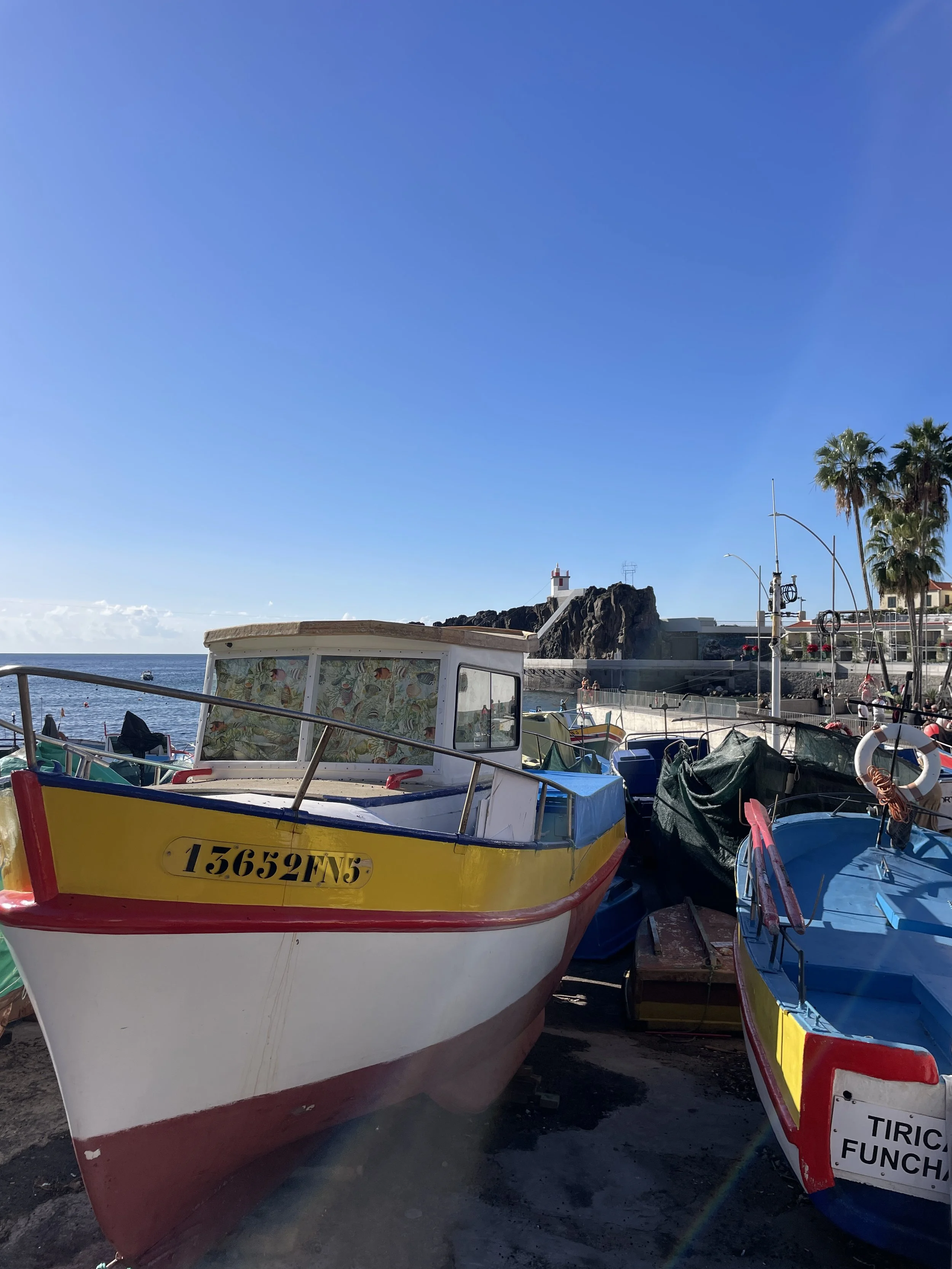 IMG_4208.jpeg