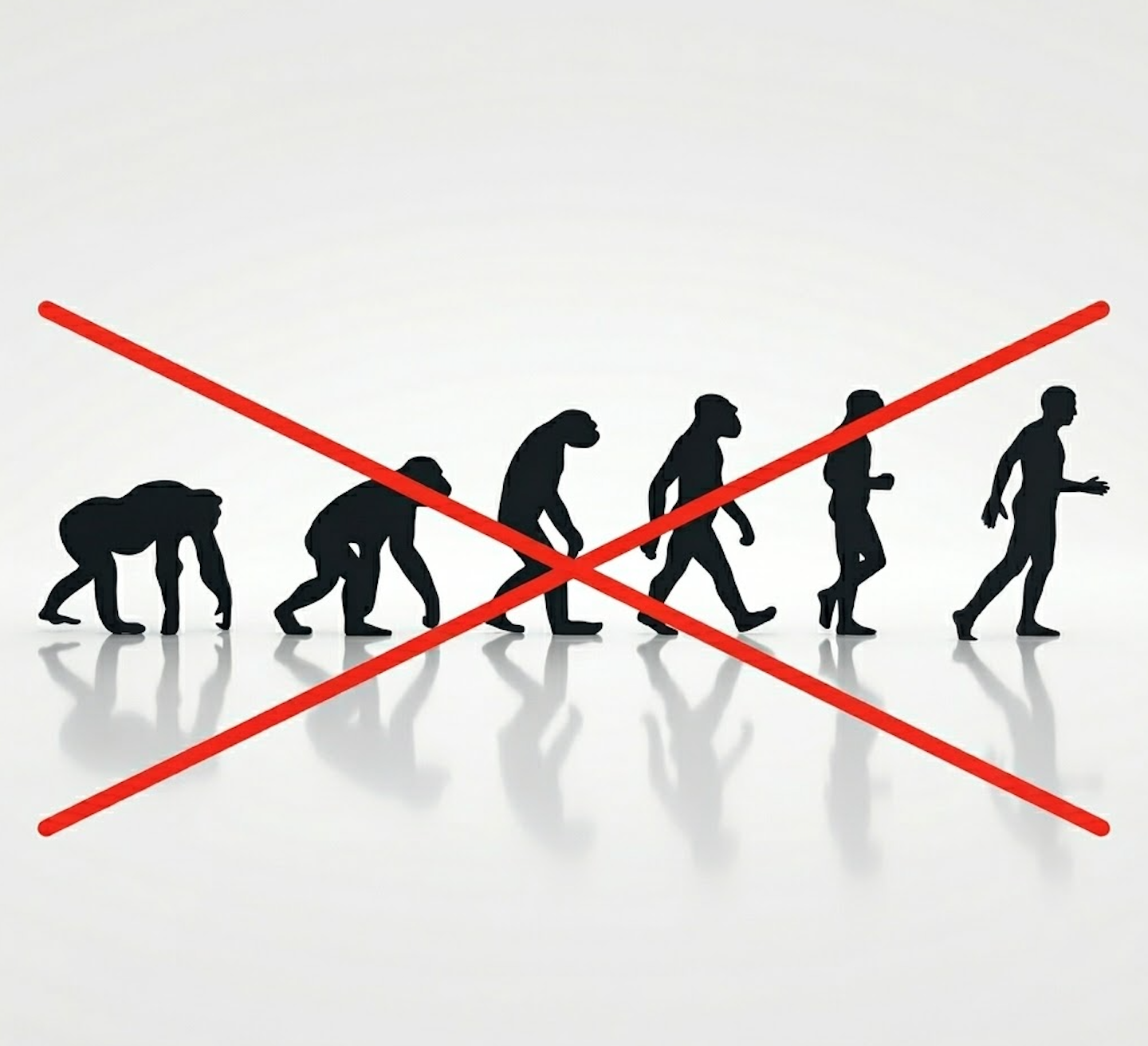 L'évolution n'est pas une ascension. C'est un buissonnement