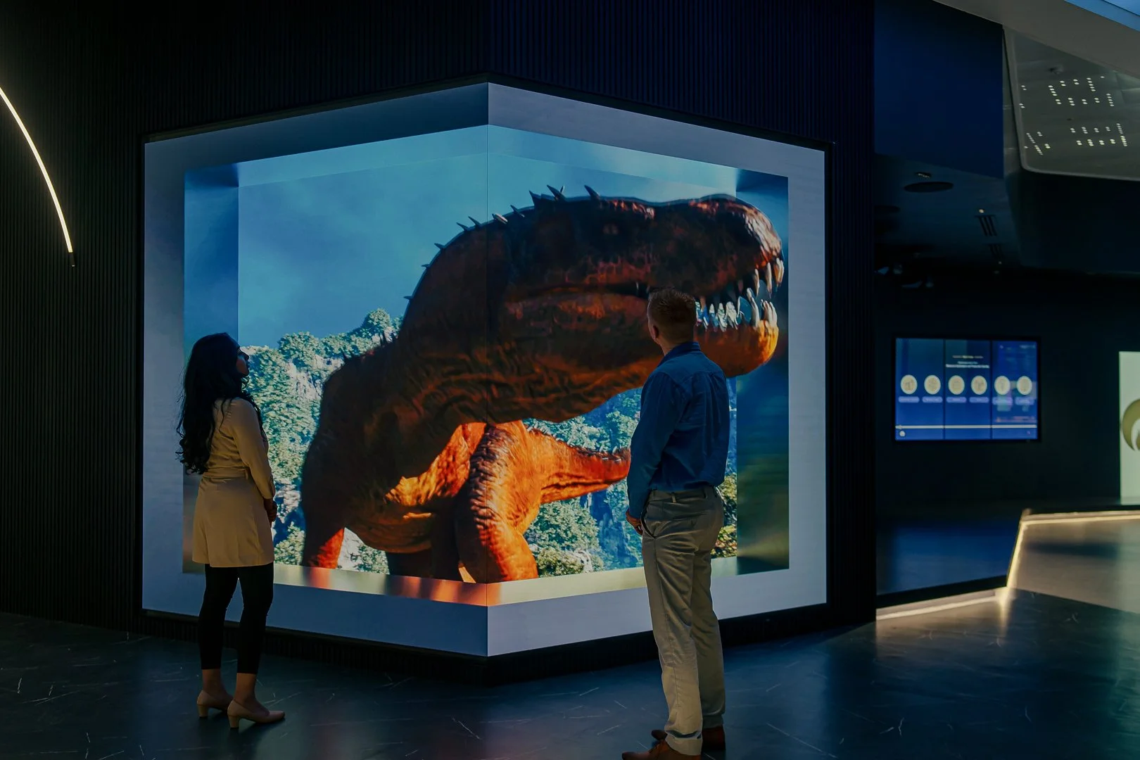 Anamorphic Walls - 3D Anamorphic LED Displays - Experience