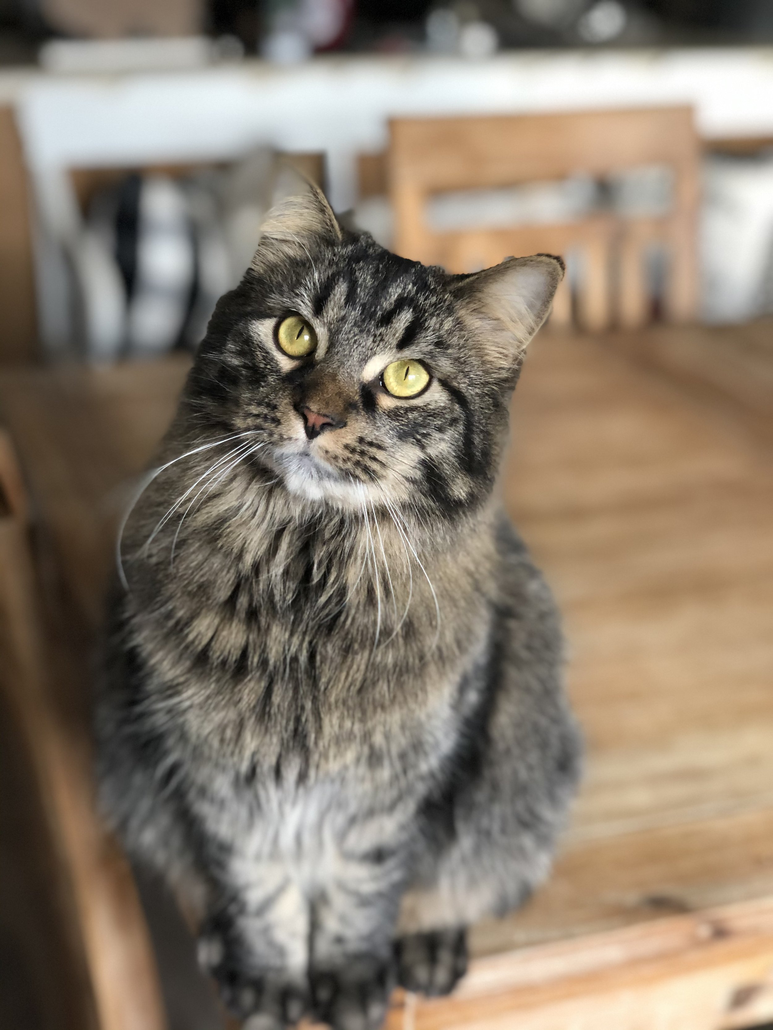 EAADA052-FF72-4B29-A9AE-EE8CE1BA4B36.jpeg