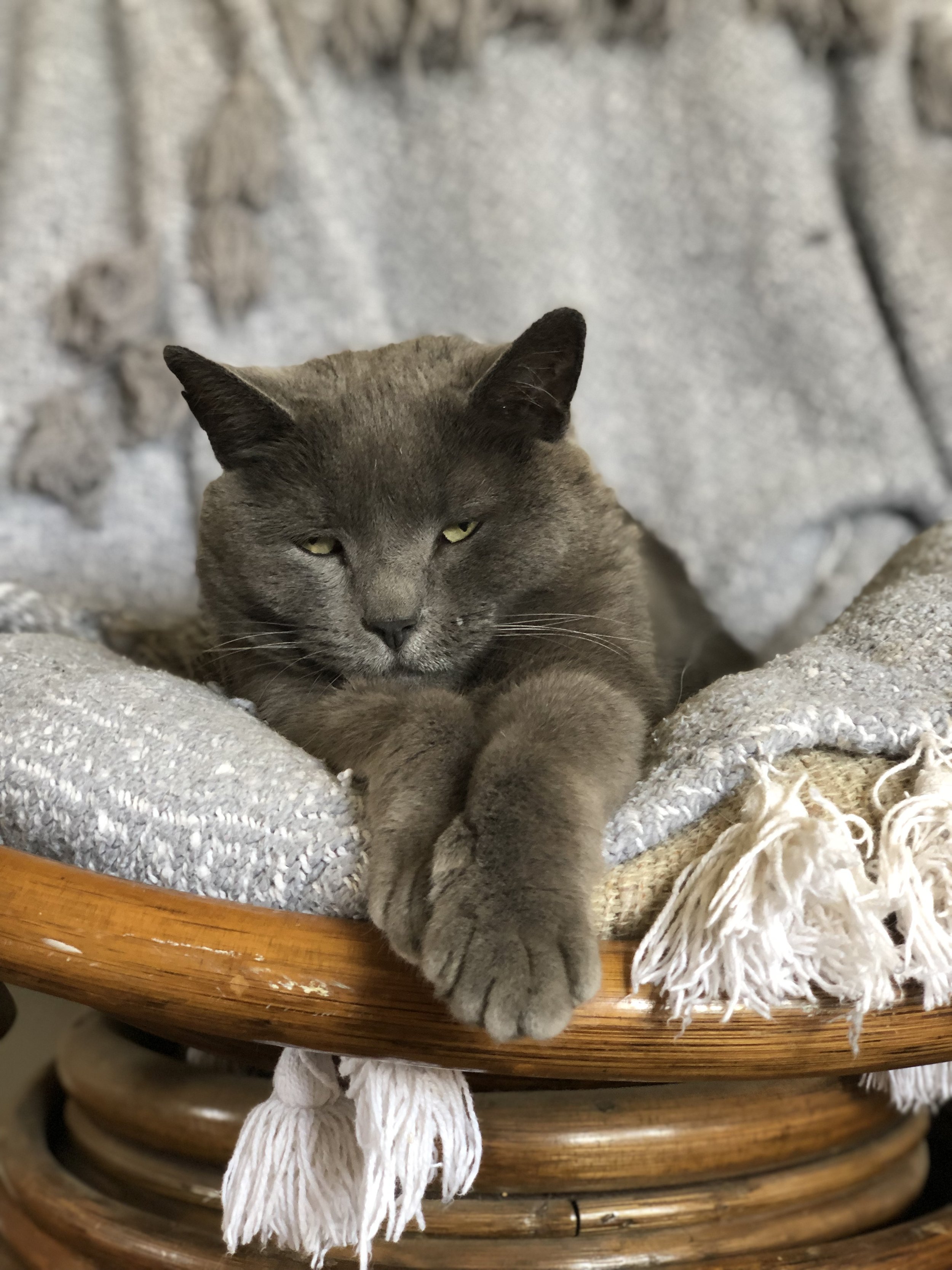 0C59083F-D0B8-4E43-AB9E-810AD5E242F1.jpeg