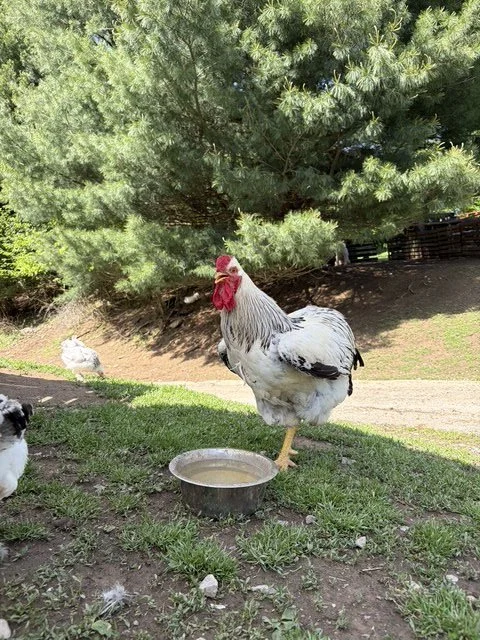 image12 (1).jpeg