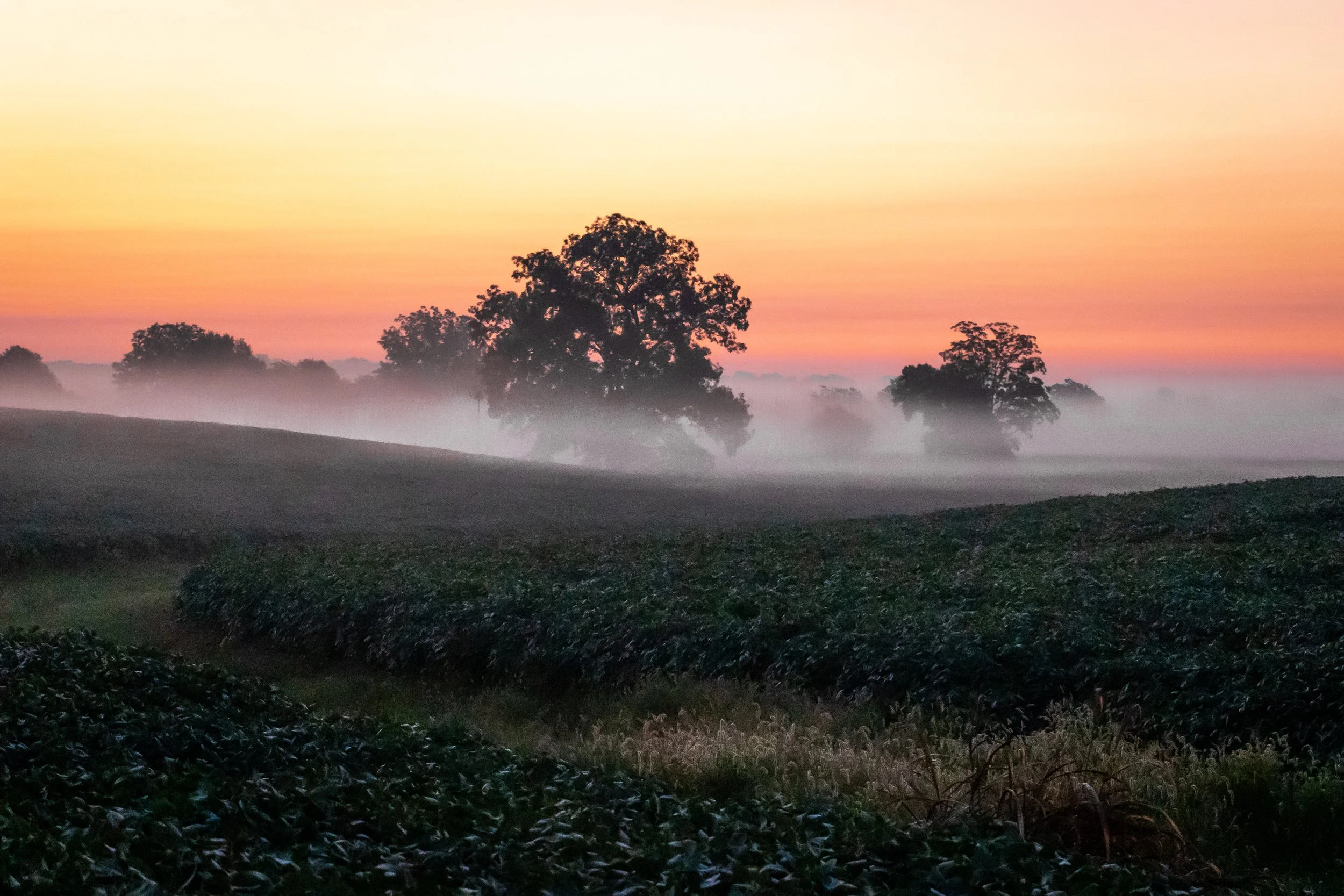 7D2_9632-HDR.jpg