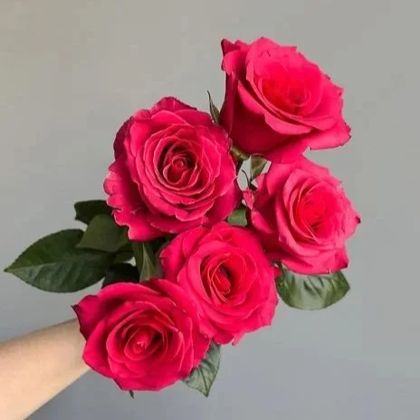 One dozen premium roses with lush greenery and filler flowers in a glass vase—'For My Love' arrangement, perfect for romantic occasions.