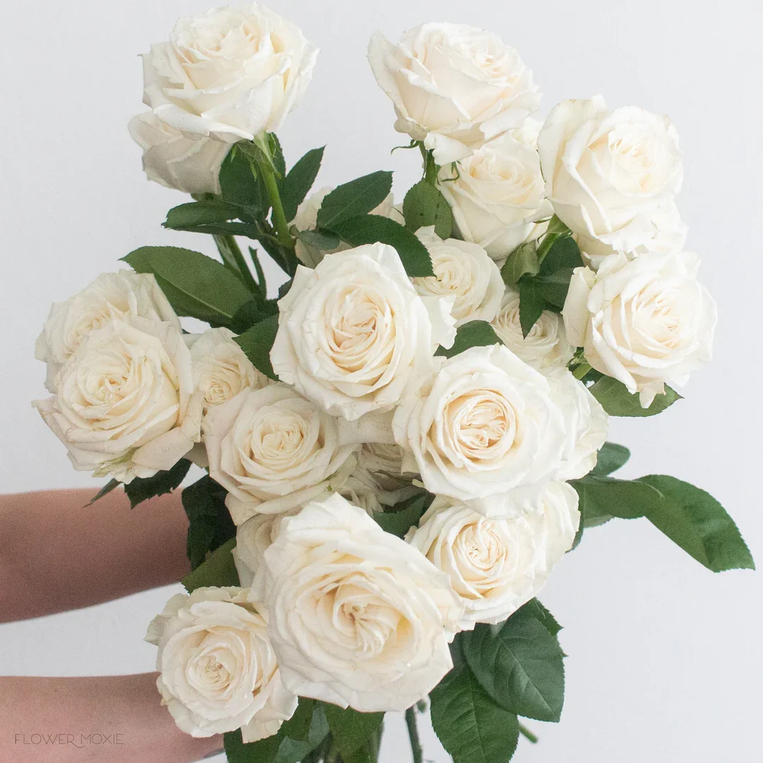 One dozen premium roses with lush greenery and filler flowers in a glass vase—'For My Love' arrangement, perfect for romantic occasions.