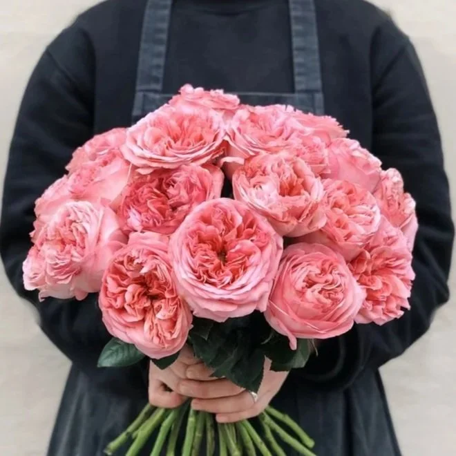 Valentine's Day Dozen Premium Rose Bouquet with Lush Greenery in Paper Wrap, available at Meadow Edge Blooms for elegant gifting.