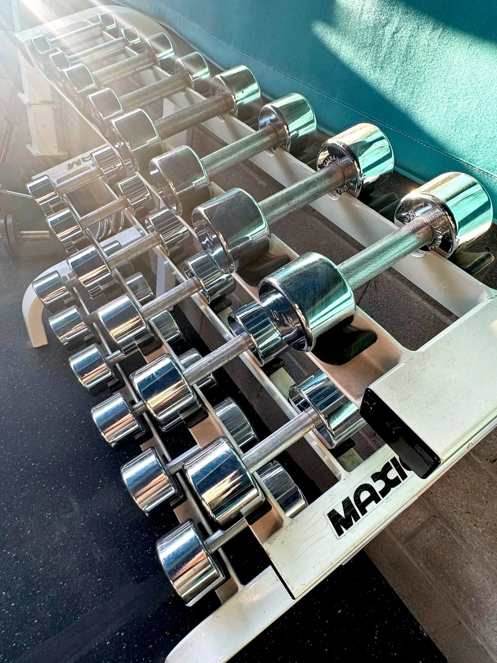 outdoor gym with free weights
