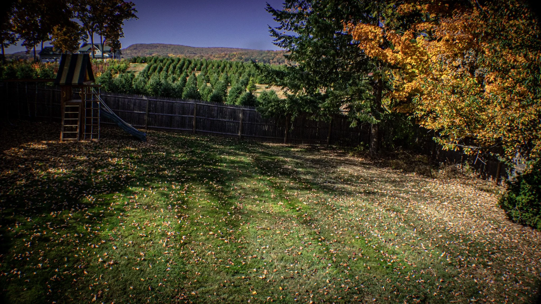 A backyard with a grassy lawn, fallen leaves, trees with orange and green foliage, a wooden fence, and a hill with a farm to the left side.