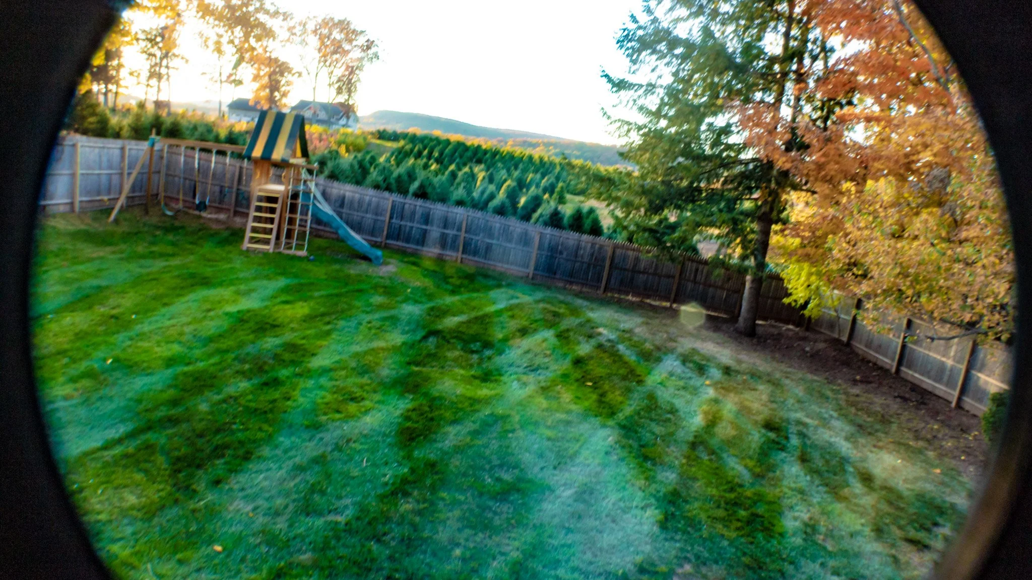 View of a backyard with a wooden playset, grass lawn, a tree with orange leaves, and a wooden fence, seen through a circular lens.