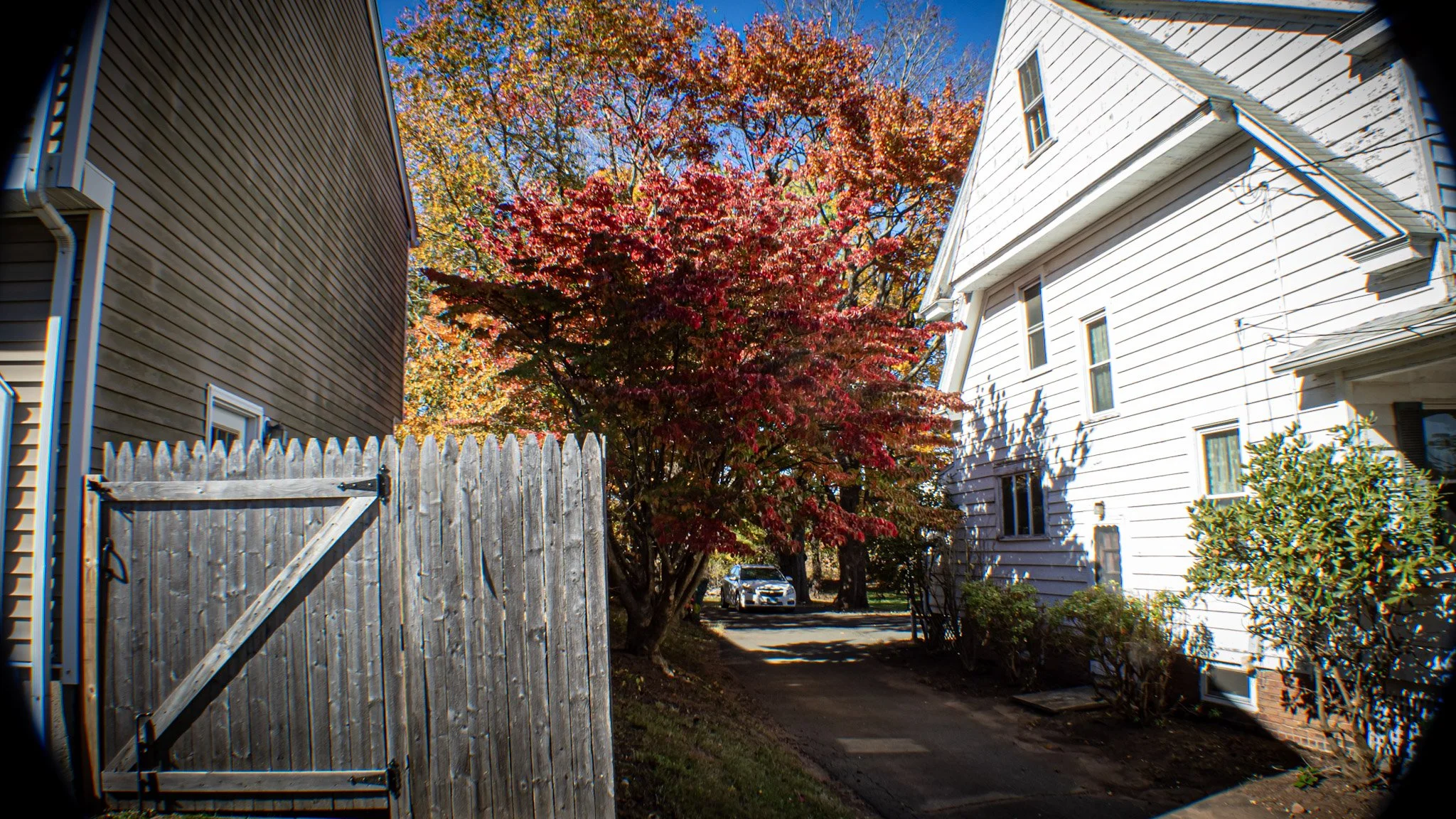A residential alley with a wooden gate on the left, white house on the right, and a red autumn tree in the center with a parked car behind it.