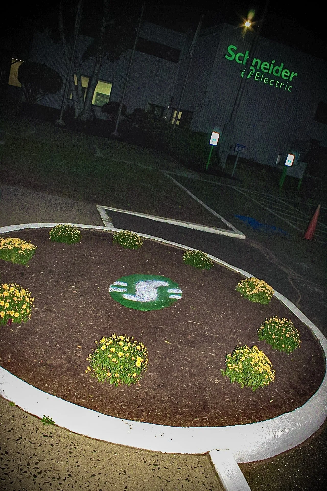 Nighttime photo of a parking lot with a flower bed in the foreground, containing yellow flowers and a painted logo on the ground. The logo features a capital letter 'S' inside a green circle. In the background, a building has the green neon sign 'Sch