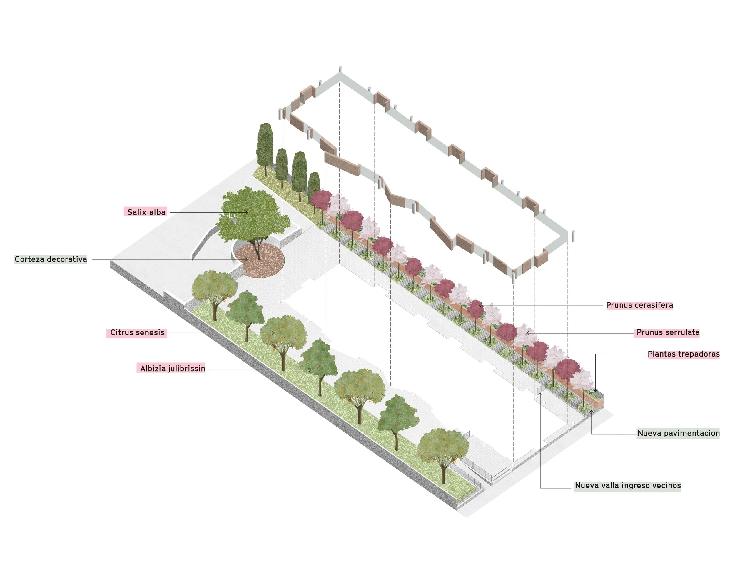 1 - MM-DR FLEMING AXO-2.jpg