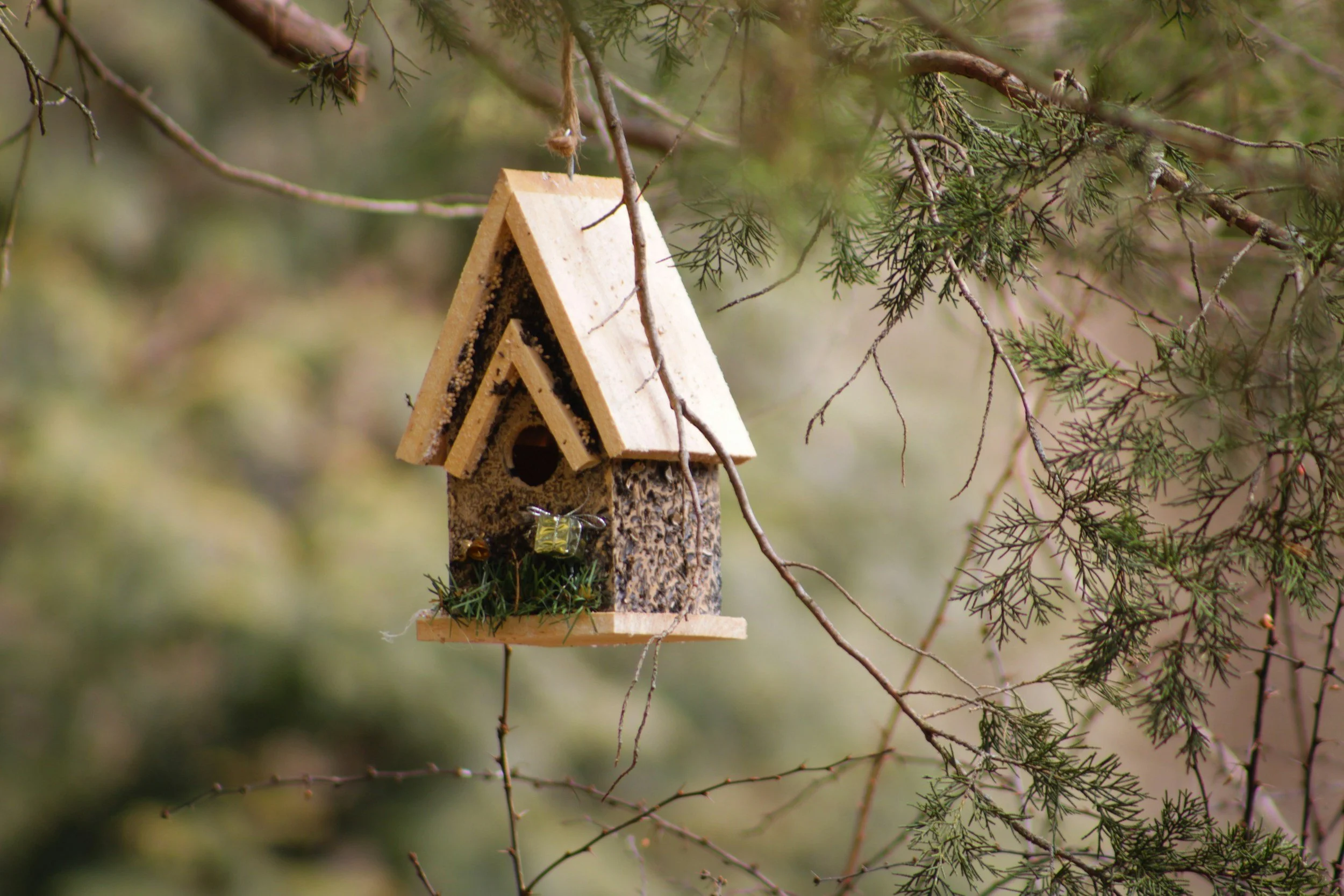 birdfeeder built out of wood