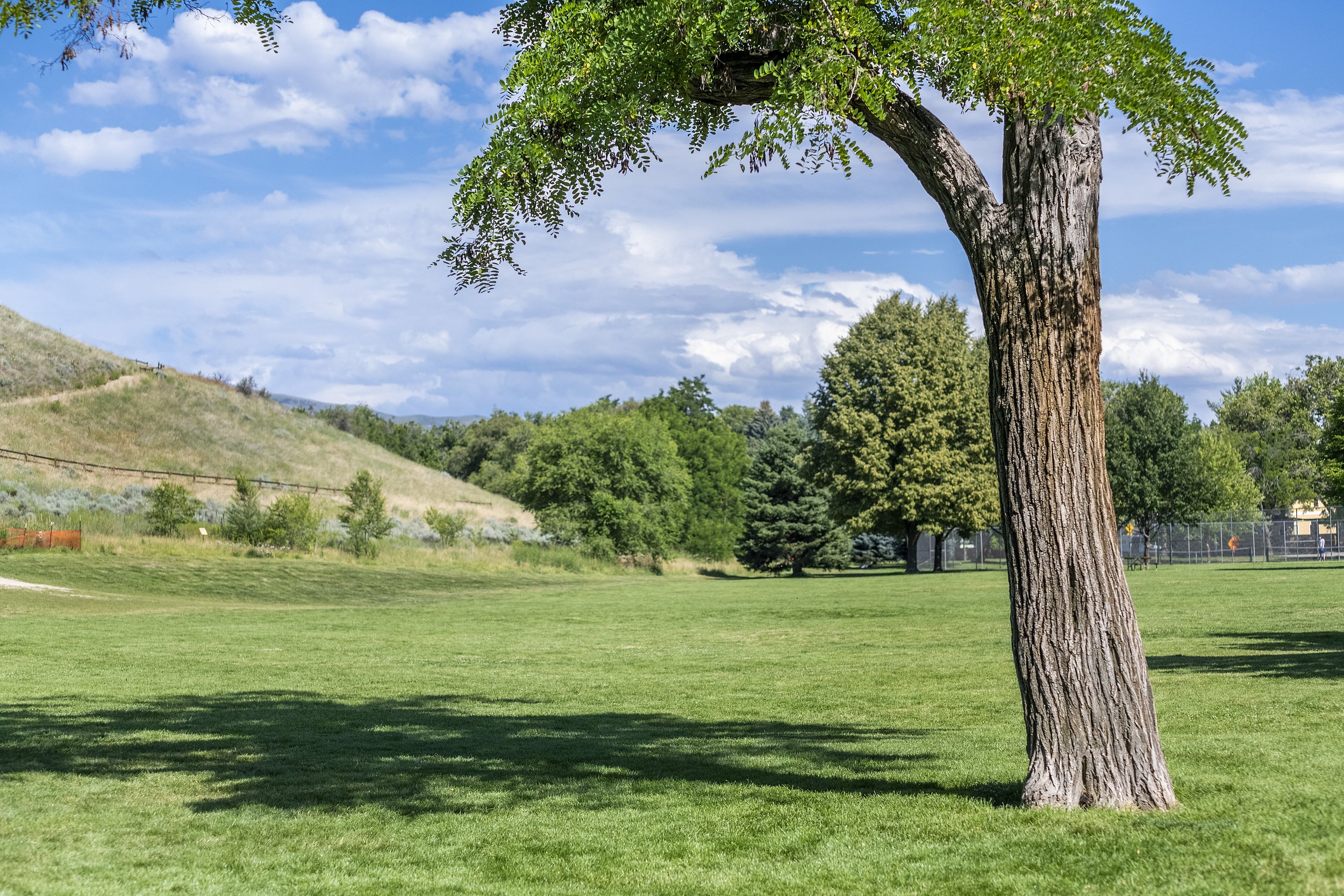 camels back park boise