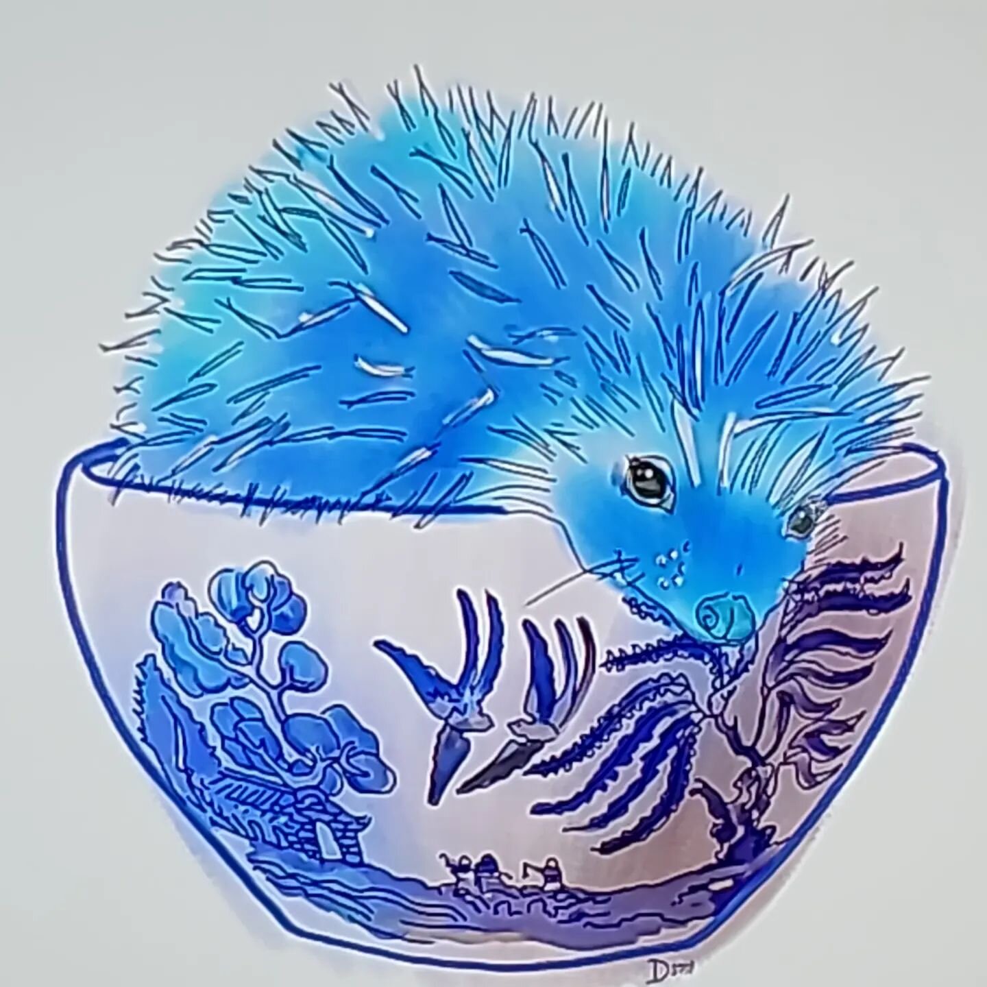 Hedgehog in blue willow bowl #hedgehog #hedgenogofinstagram #bluewillow #donnadavisartbythesea