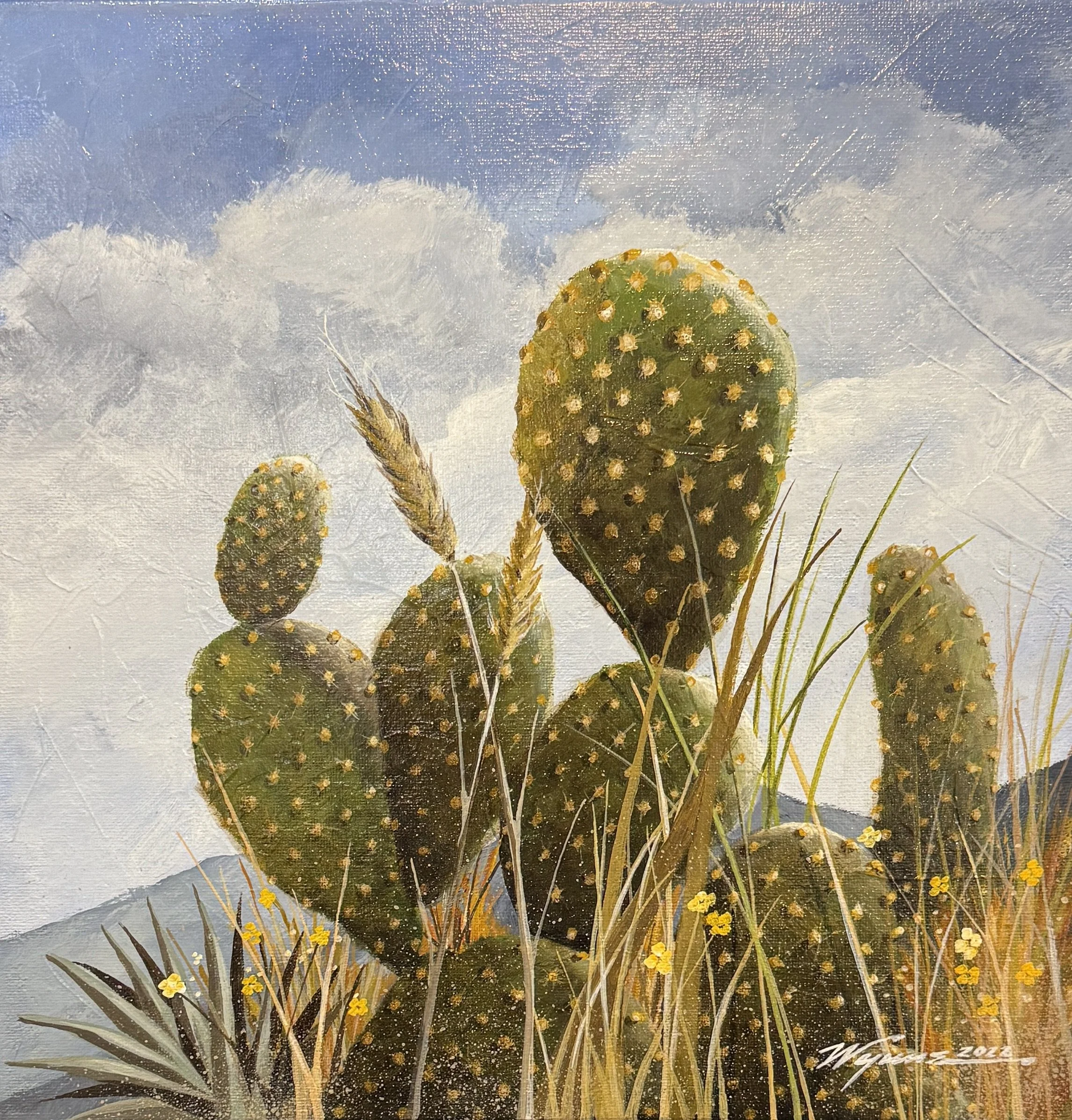 The Mesa Cactus