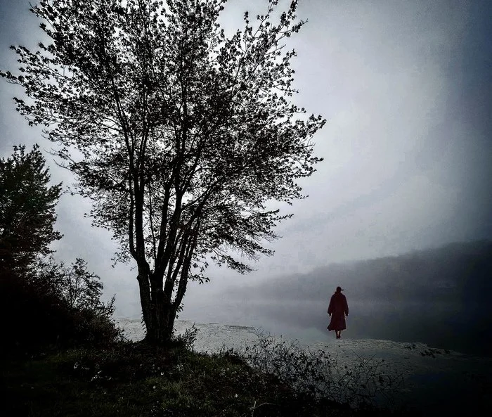 A lone person walking near a large tree on a foggy, overcast day, with a desolate, moody atmosphere.