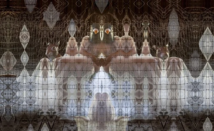 Symmetrical abstract image with layered textures and geometric patterns resembling a bird-like figure with glowing eyes.