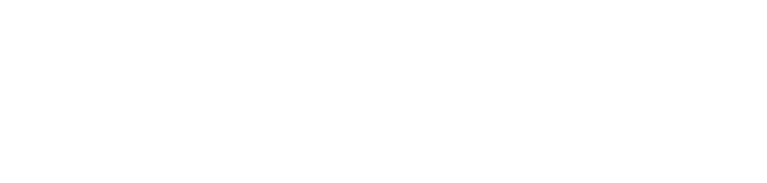 Ronald F. Chicken &amp; Associates, LLC