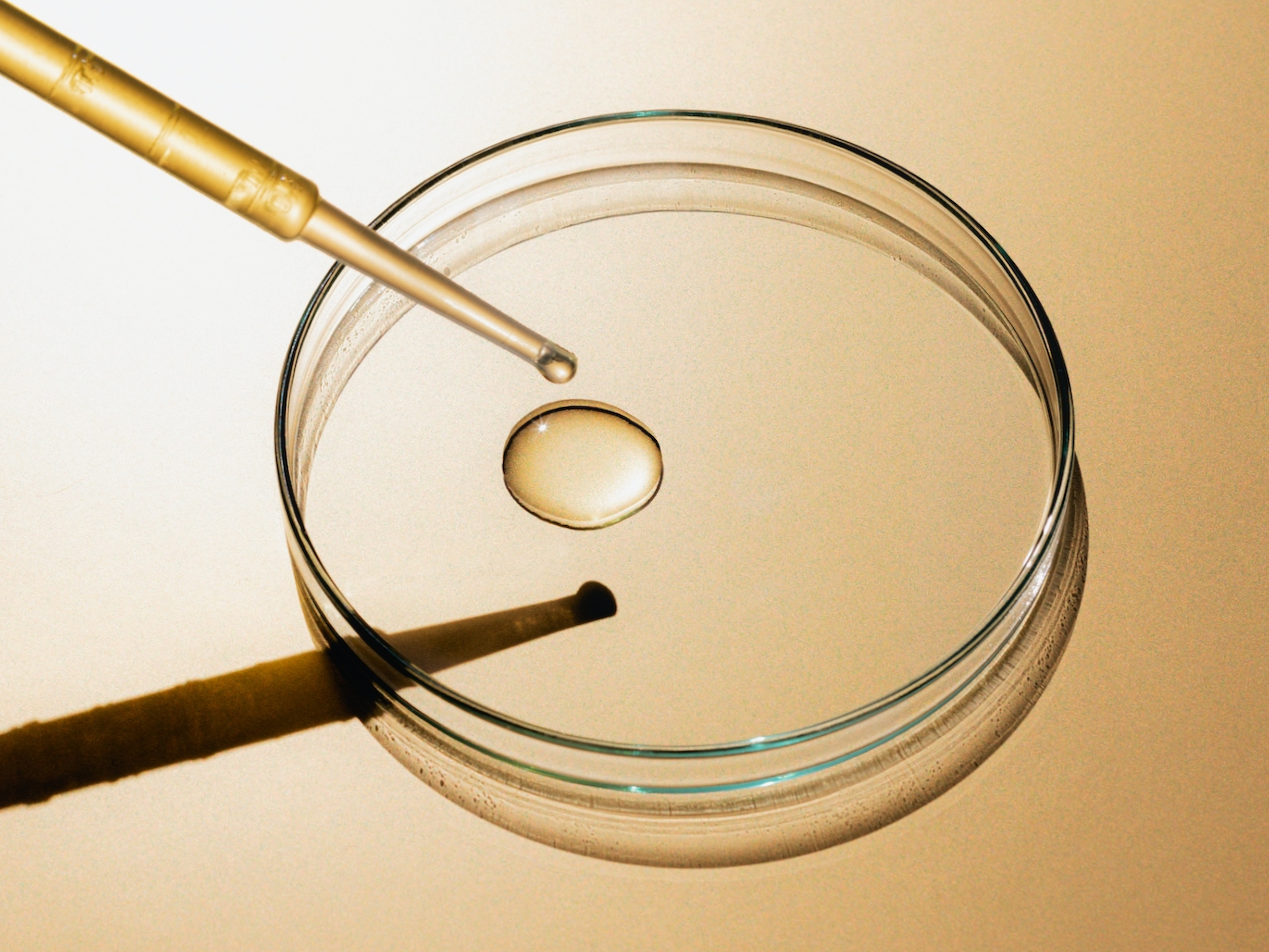 Regenerative Medicine: What It Is, What We Offer, and What to Expect