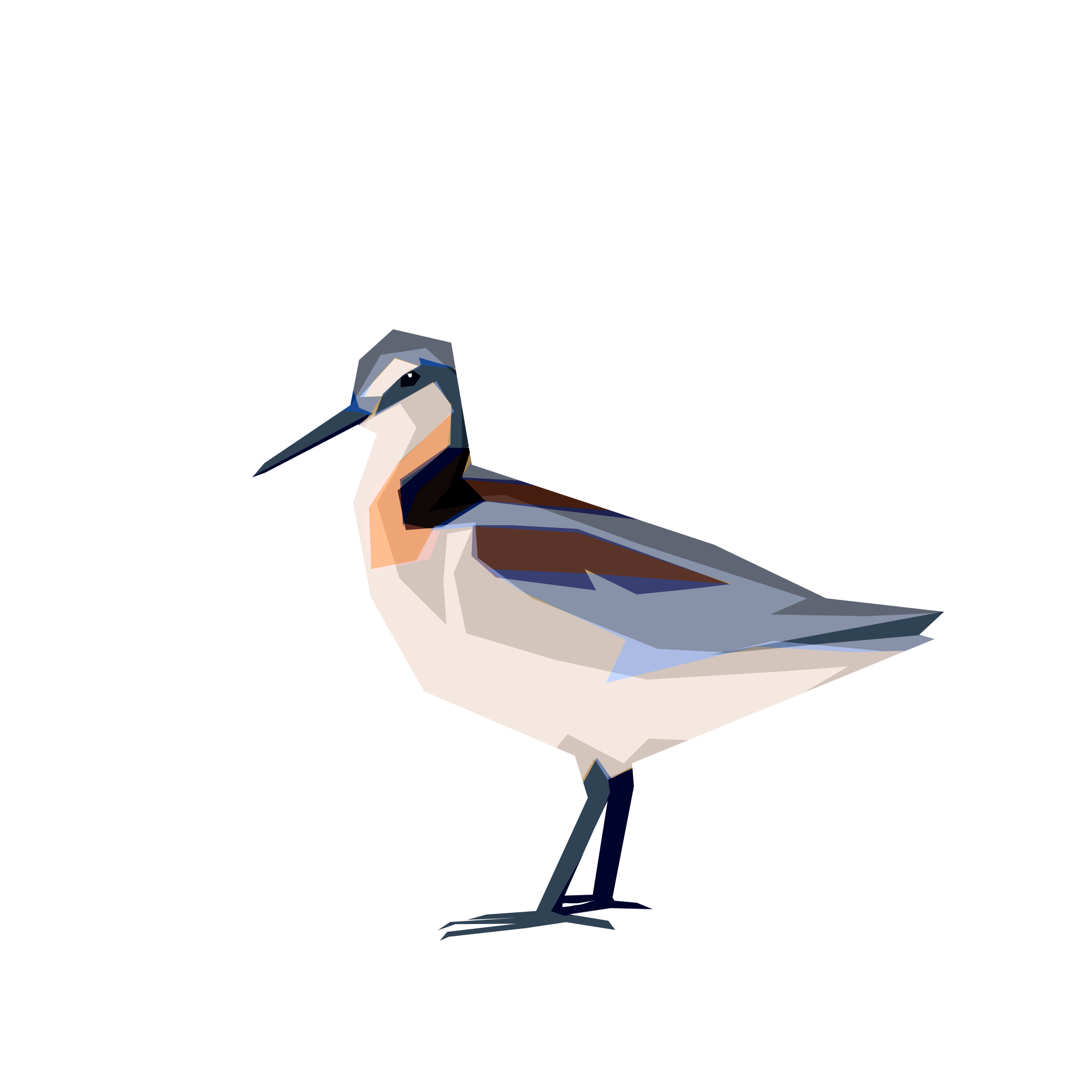 IMG_9934.png
