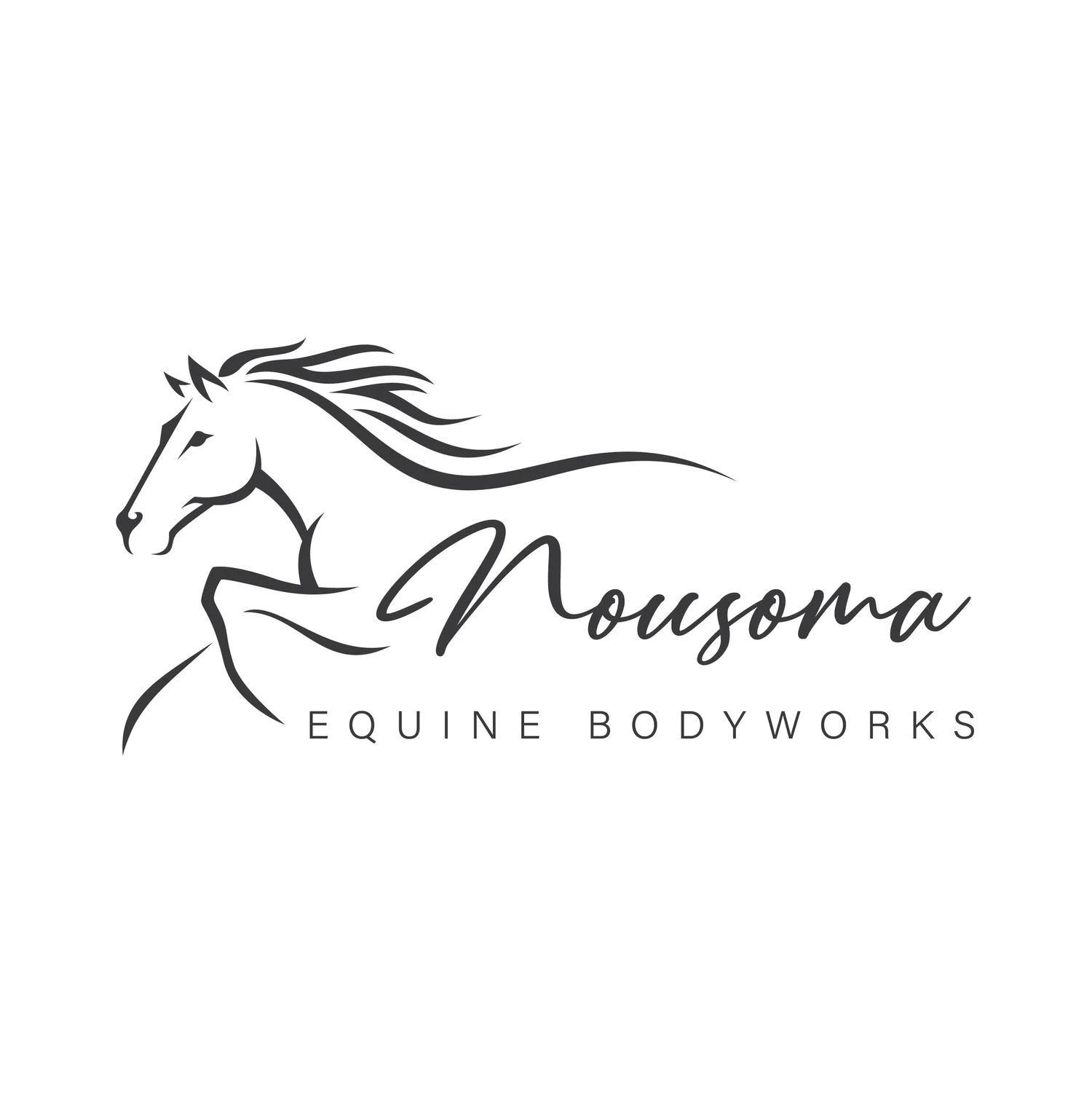NOUSOMA Equine Bodyworks