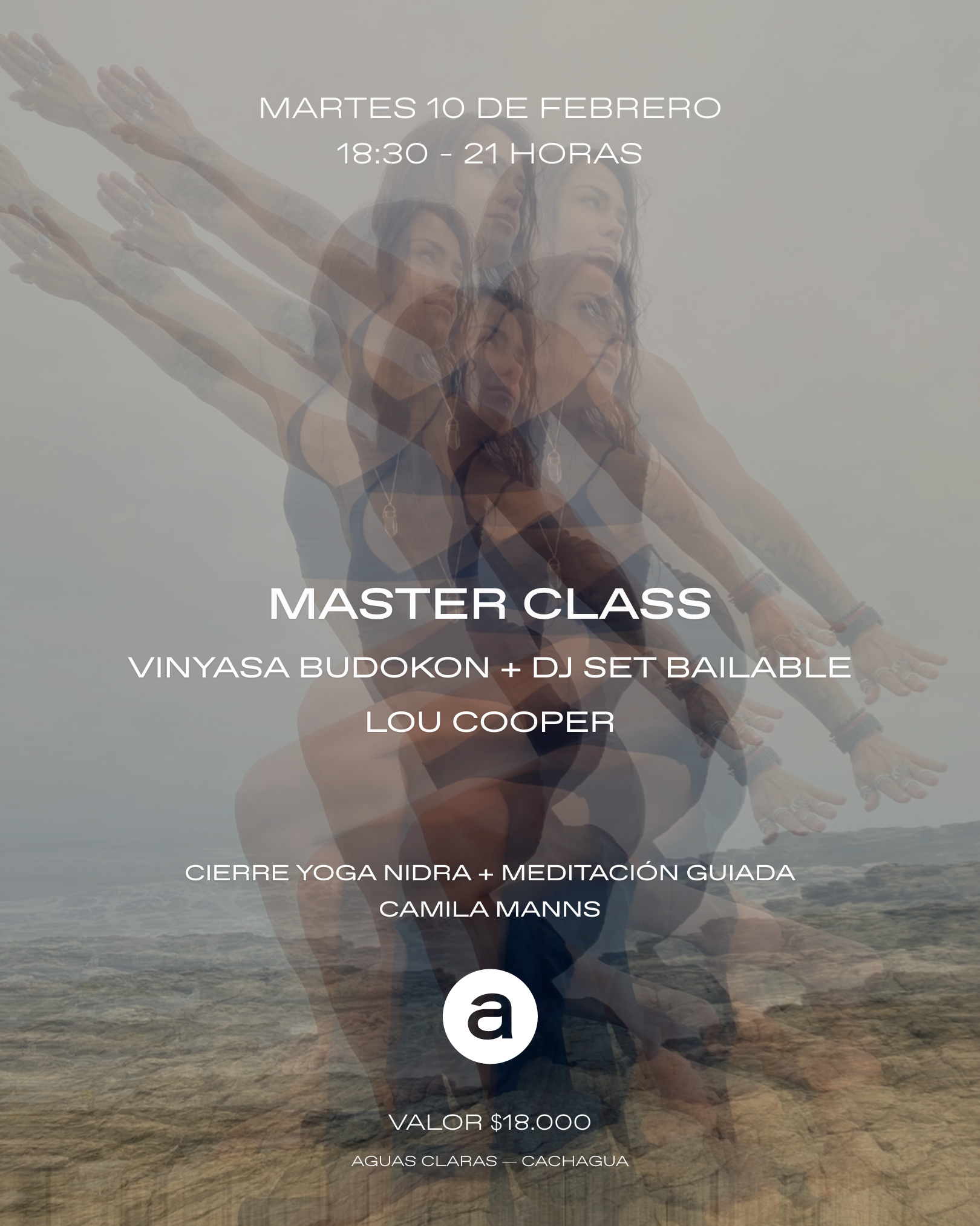 Vinyasa Budokon Lou Cooper 