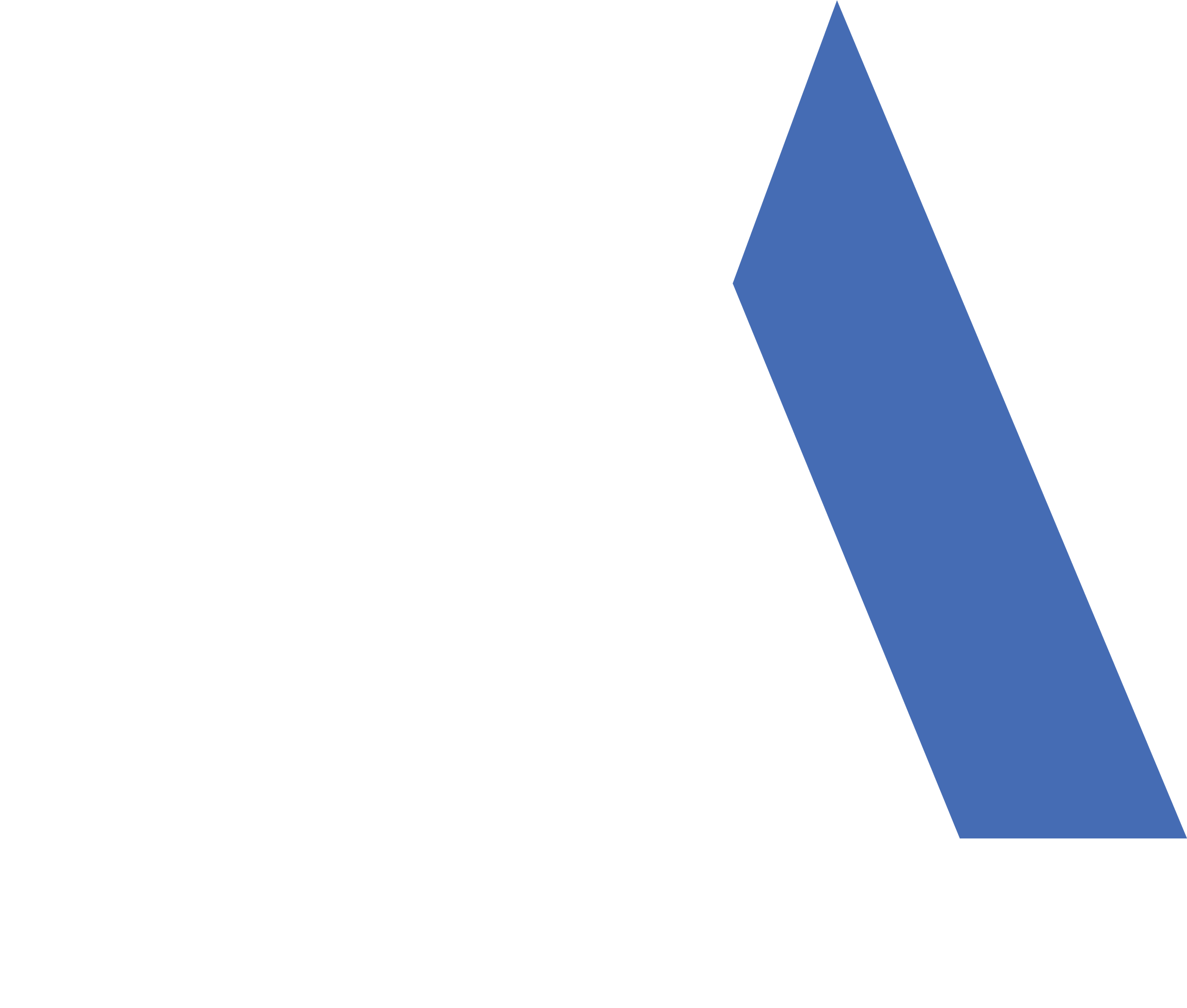About Us | New Construction | Custom Builds | Rentals — Blue Arrow Group