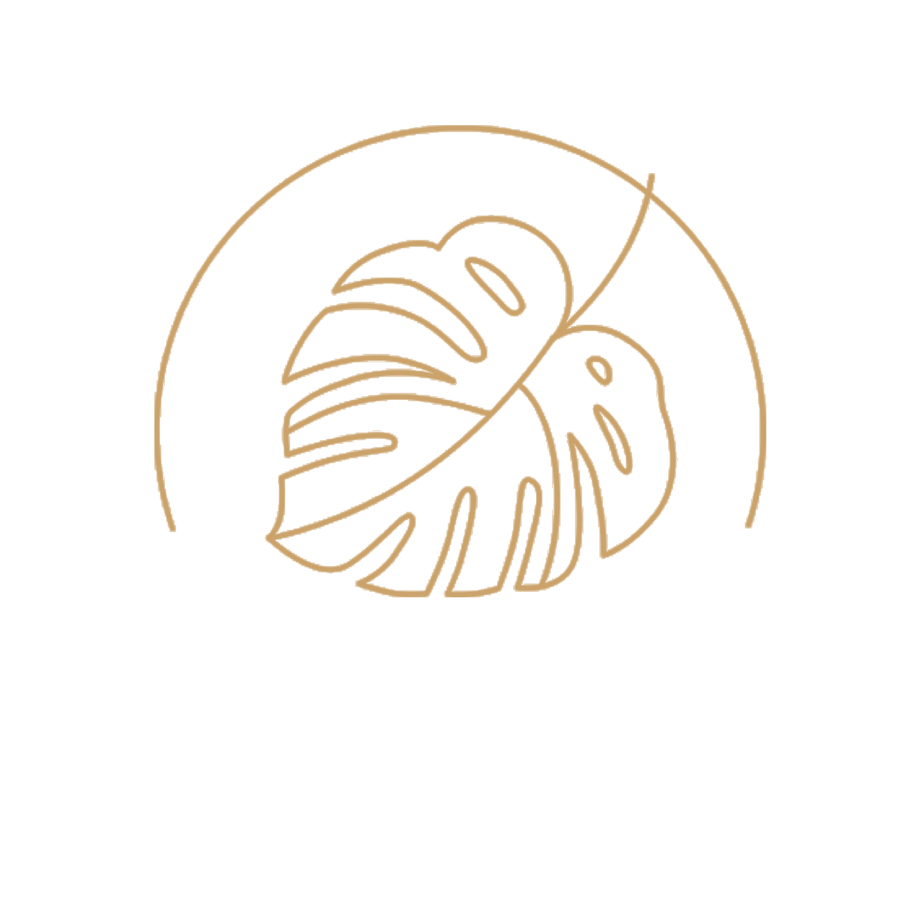 600T