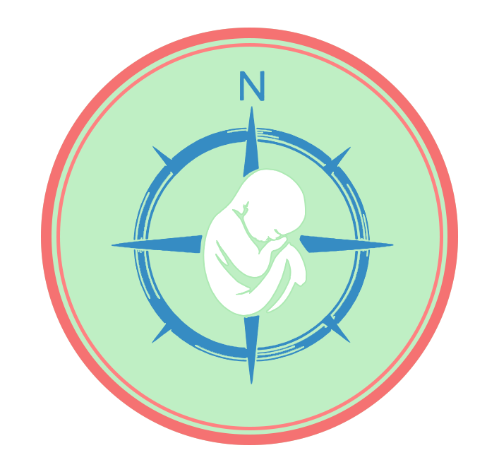 Surrogacy Compass