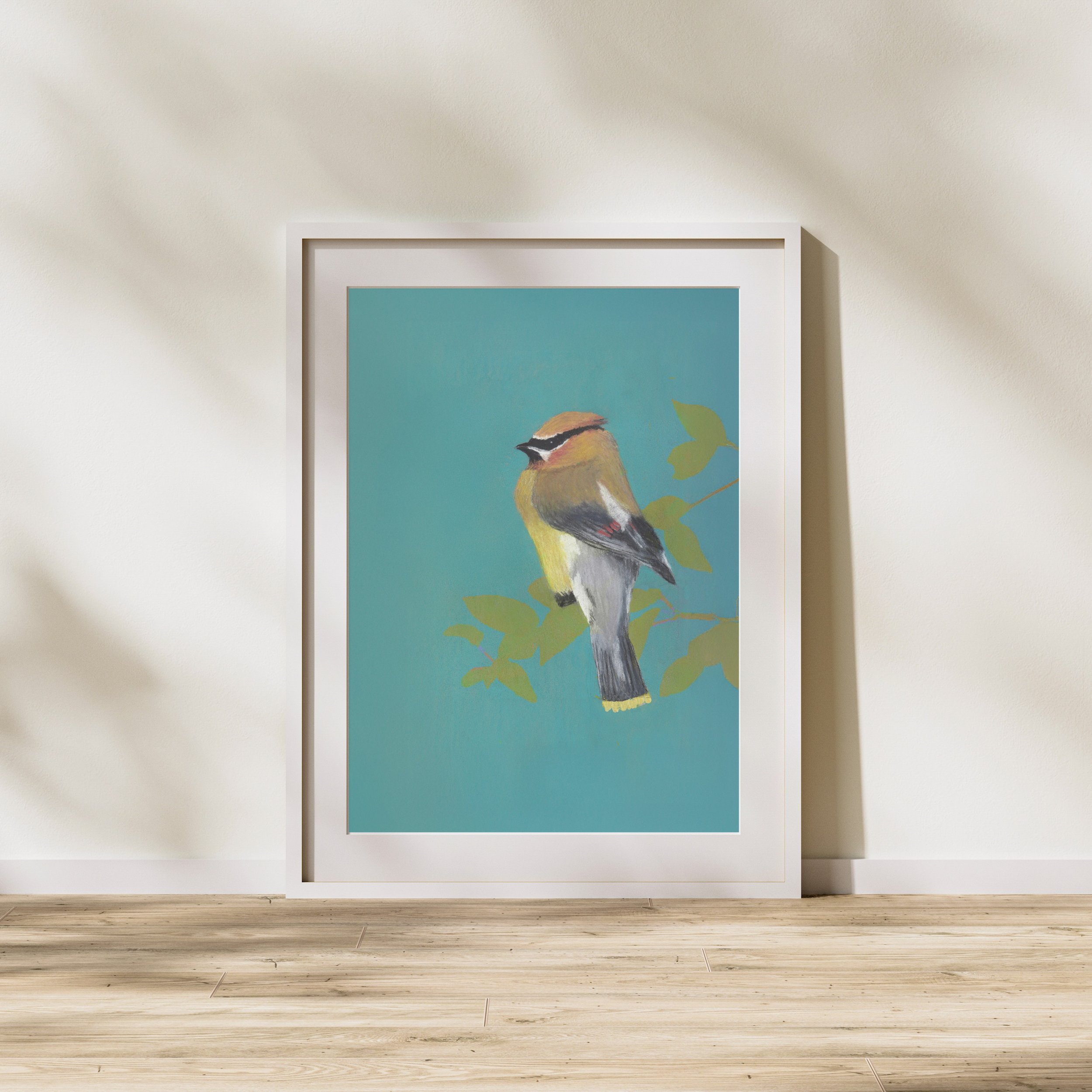 cedarwaxwingmu1.jpg