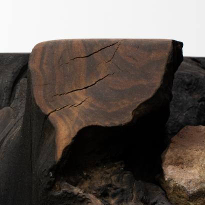 Close-up of a cracked, weathered piece of wood or stone with dark and light brown tones.