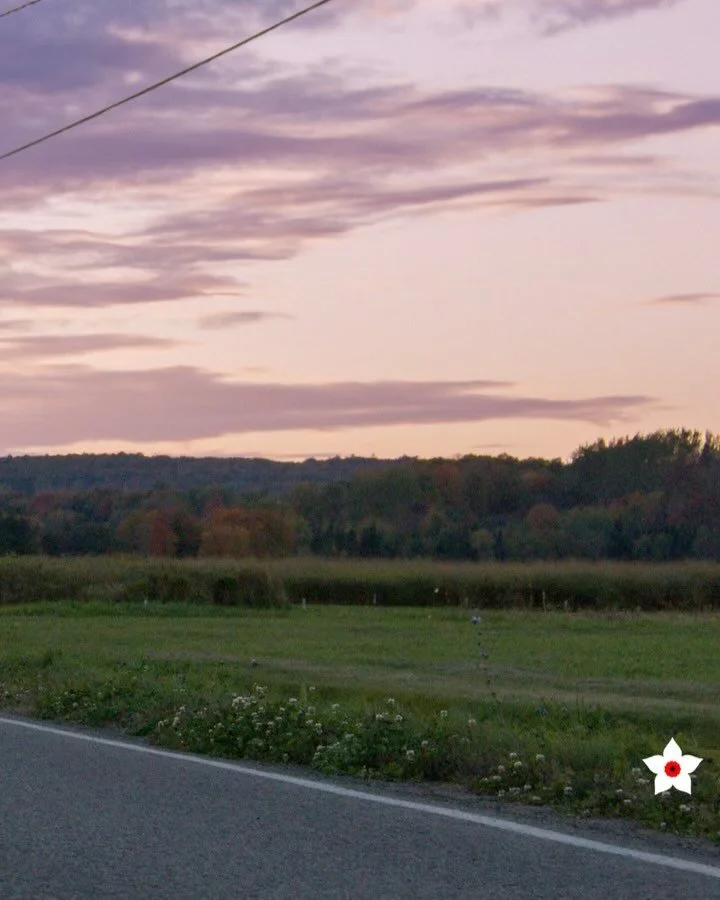 🚴🏼Beau projet avec l&rsquo;athl&egrave;te @antho_stonge que l&rsquo;on tourne depuis plus d&rsquo;un an. L&rsquo;&eacute;t&eacute; dernier il a r&eacute;ussi son premier Ironman et s&rsquo;entra&icirc;ne maintenant pour la coupe du monde. Attendez-