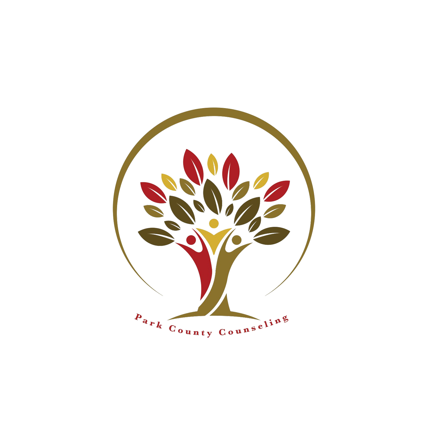 Park County Counseling, Colorado