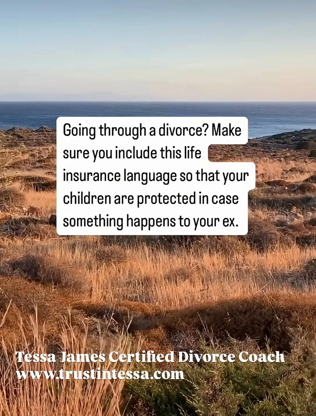 #divorce #divorcinganarcissist #divorcesupport #divorcerecovery #trustintessa