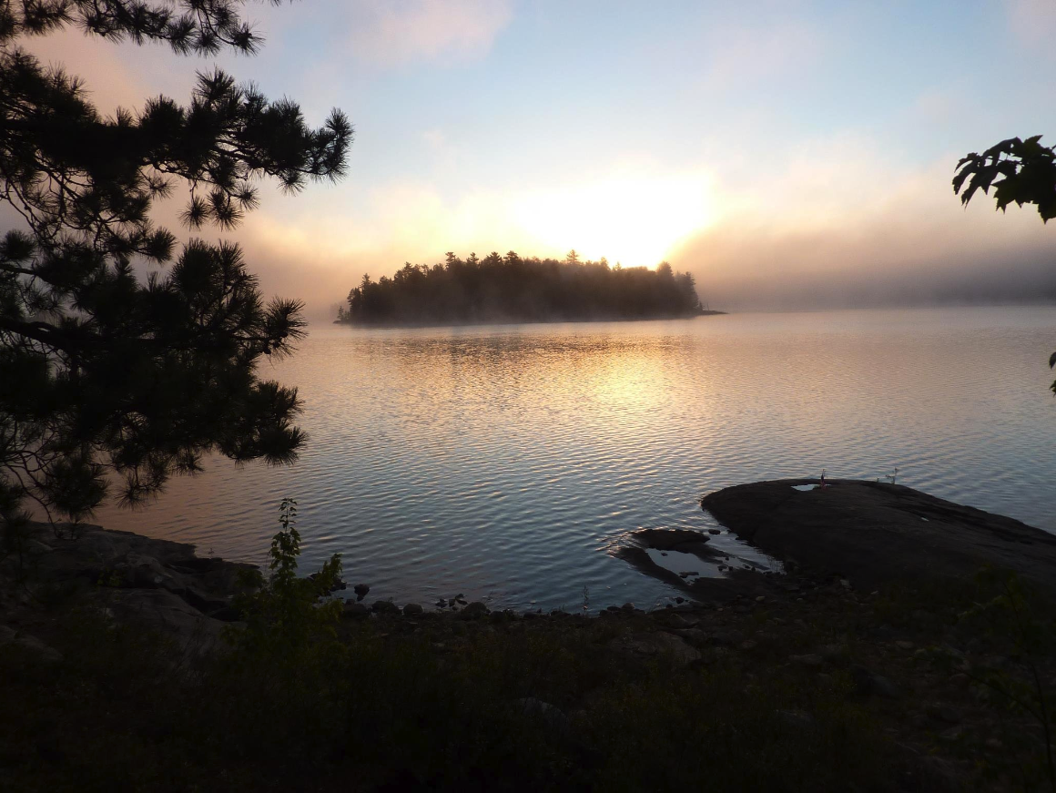 Screen Shot 2024-01-31 at 8.06.36 PM.png