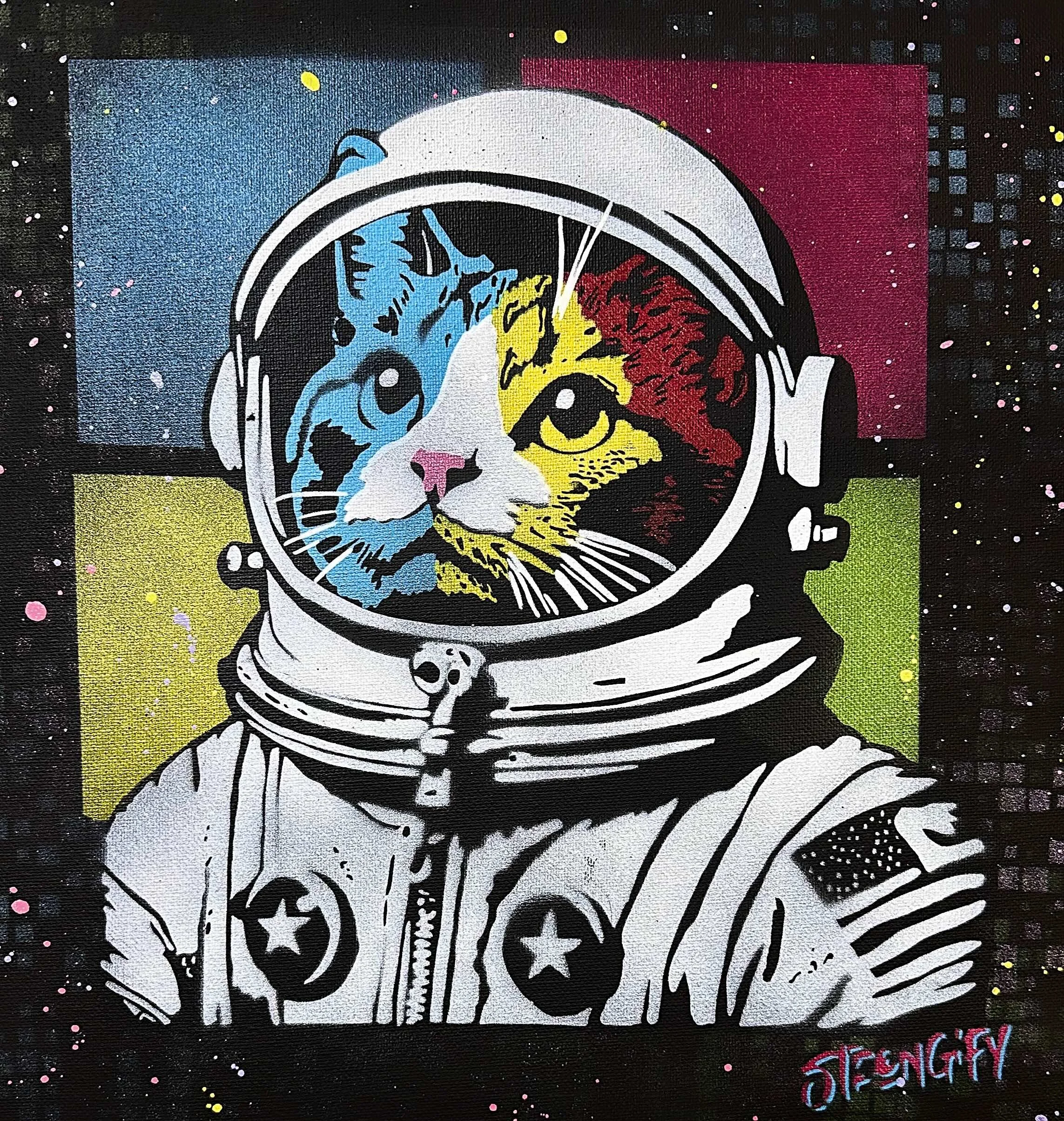 Meowter Space.jpg